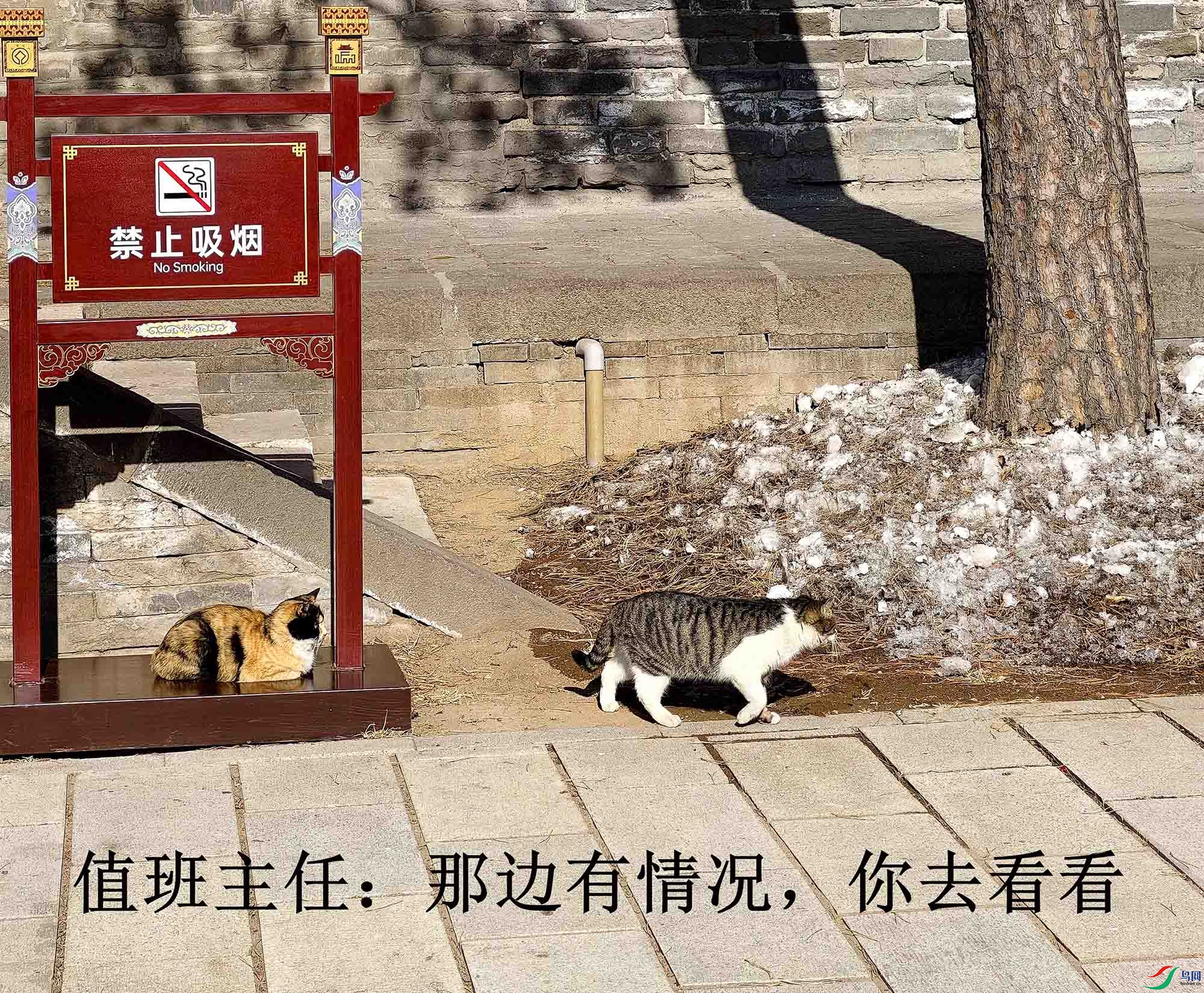 ֵ�����Σ��Ǳ����������ȥ����