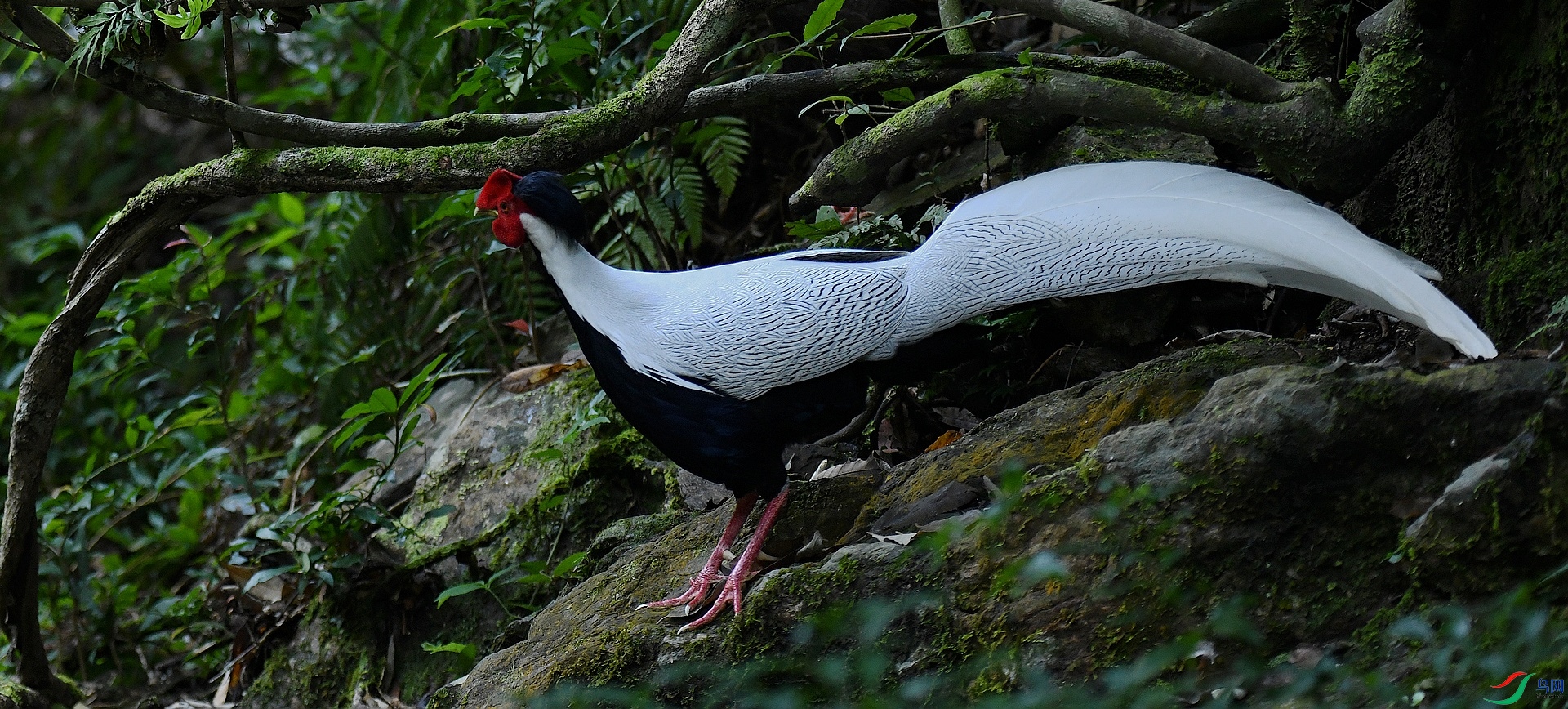 DSC_8804.jpg