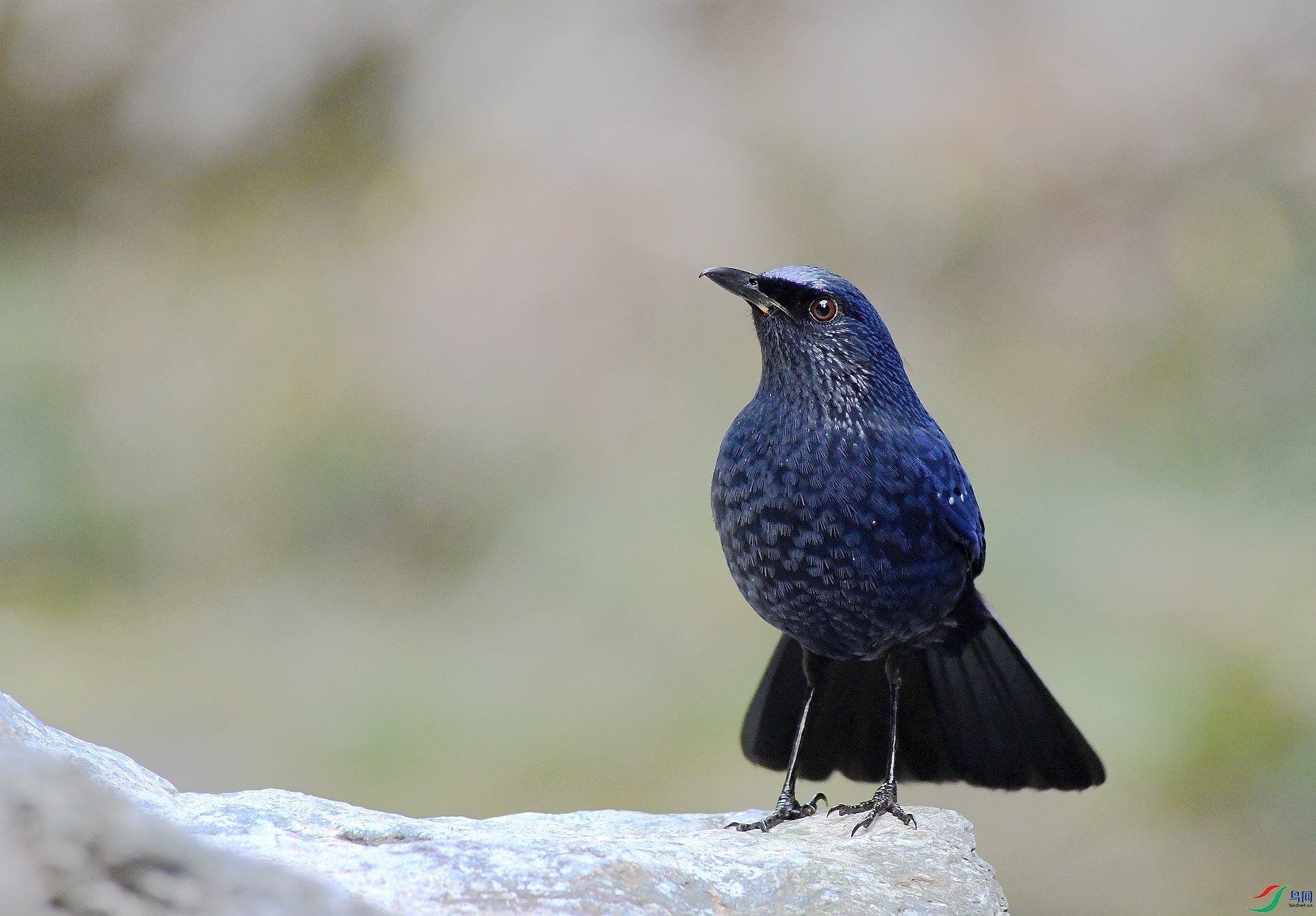 DSC_8814.jpg