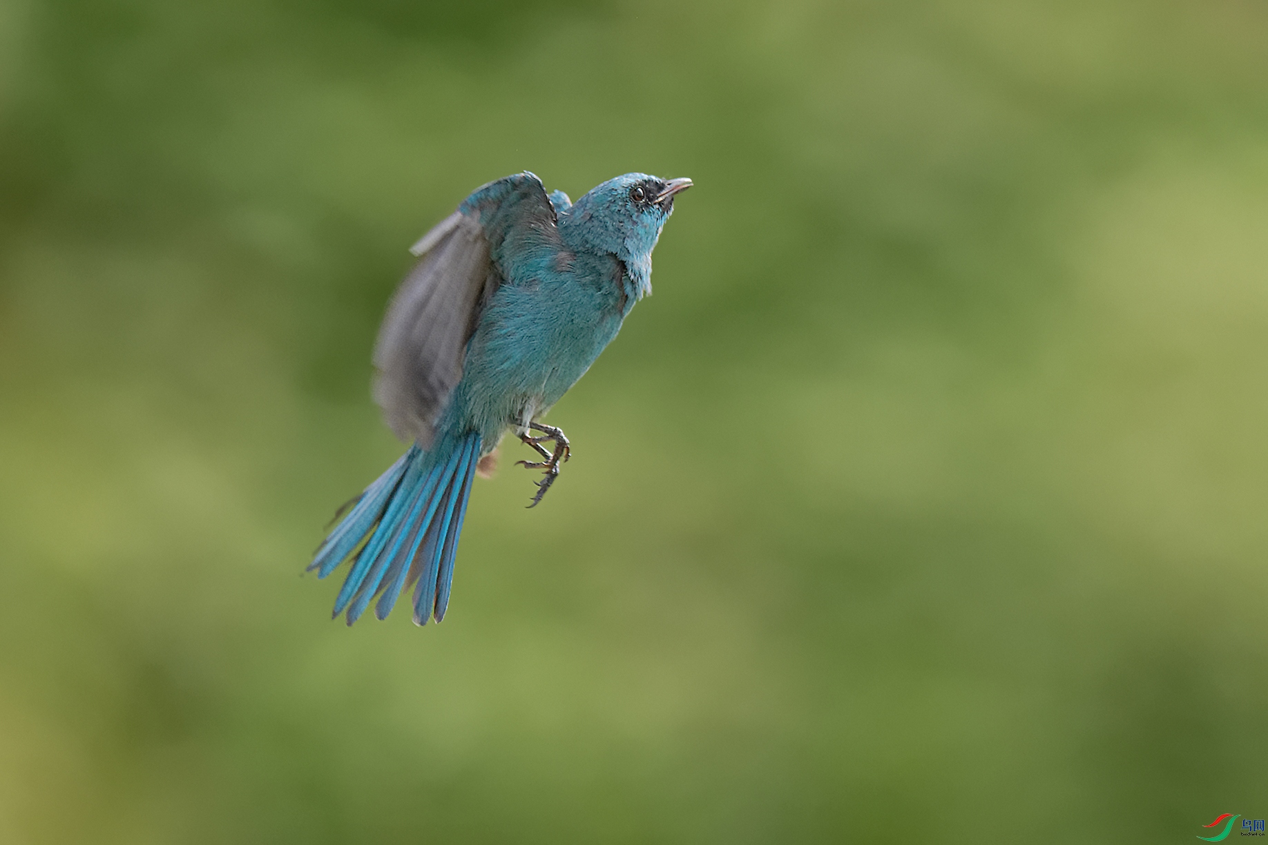 DSC_6580_DxOa.jpg