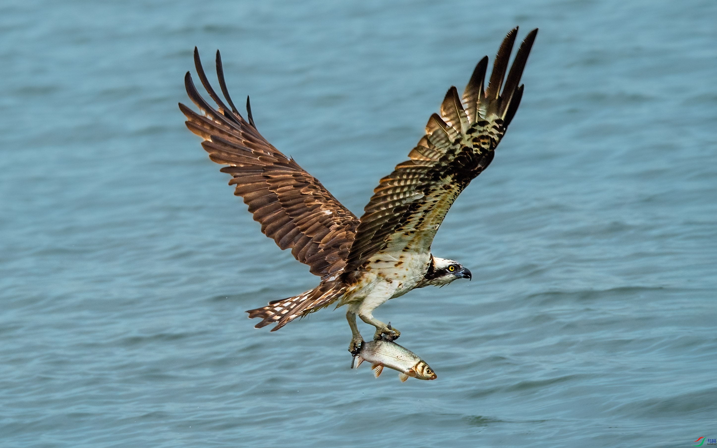 ZLK_5303-1.jpg