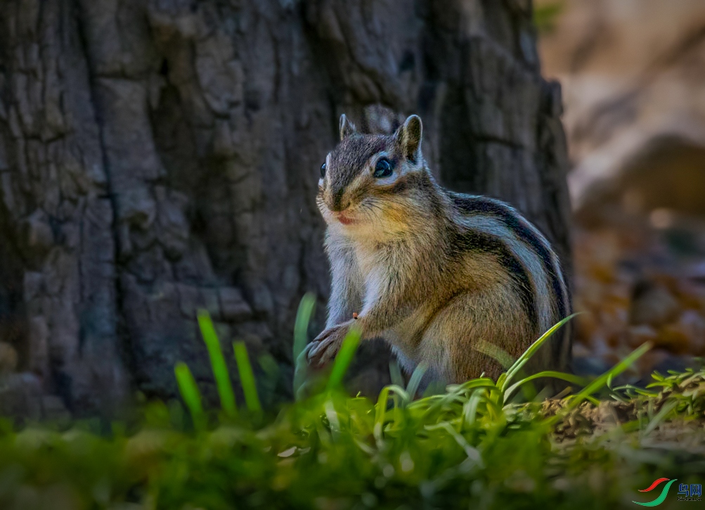 DSC_0036 ����.jpg