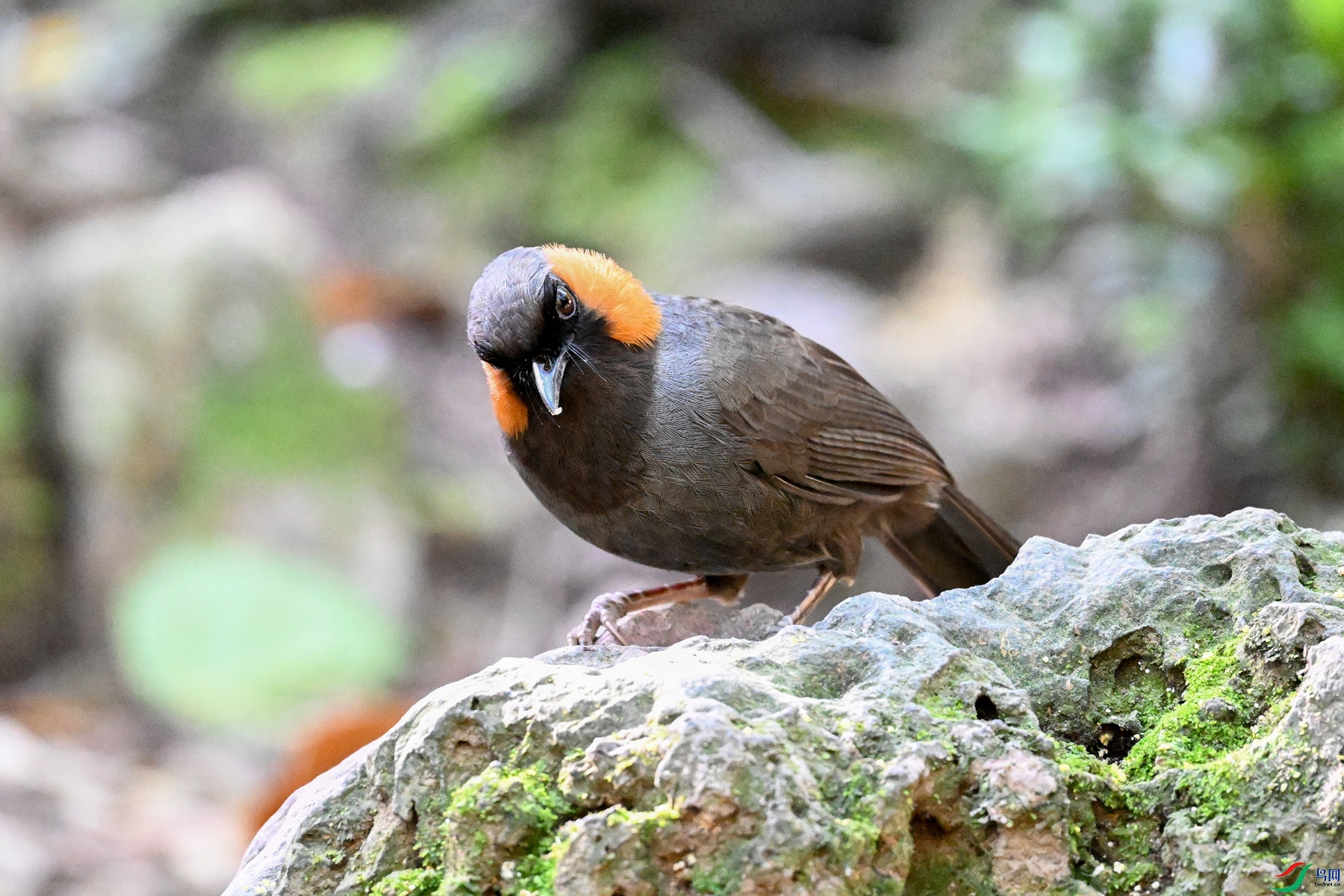 DSC_6492.JPG