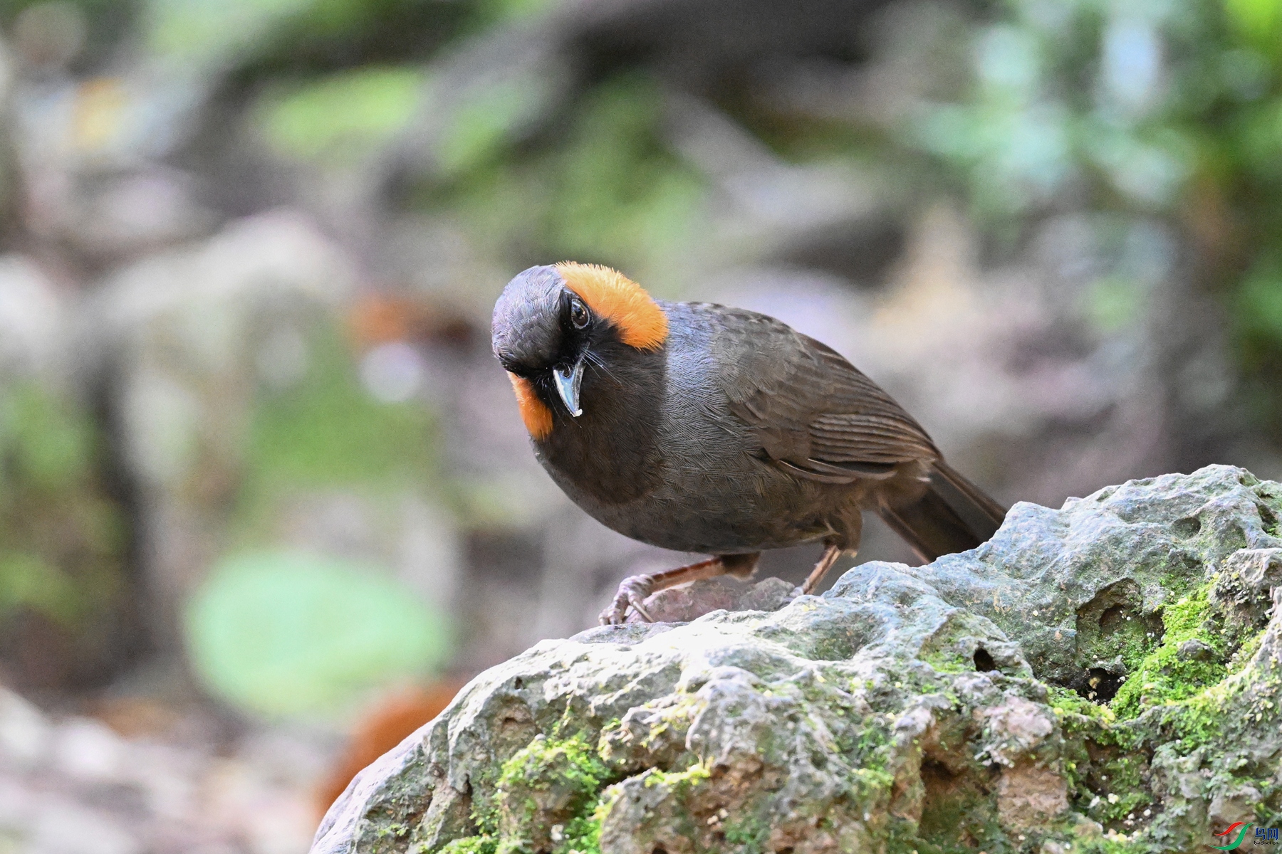 DSC_6493.JPG