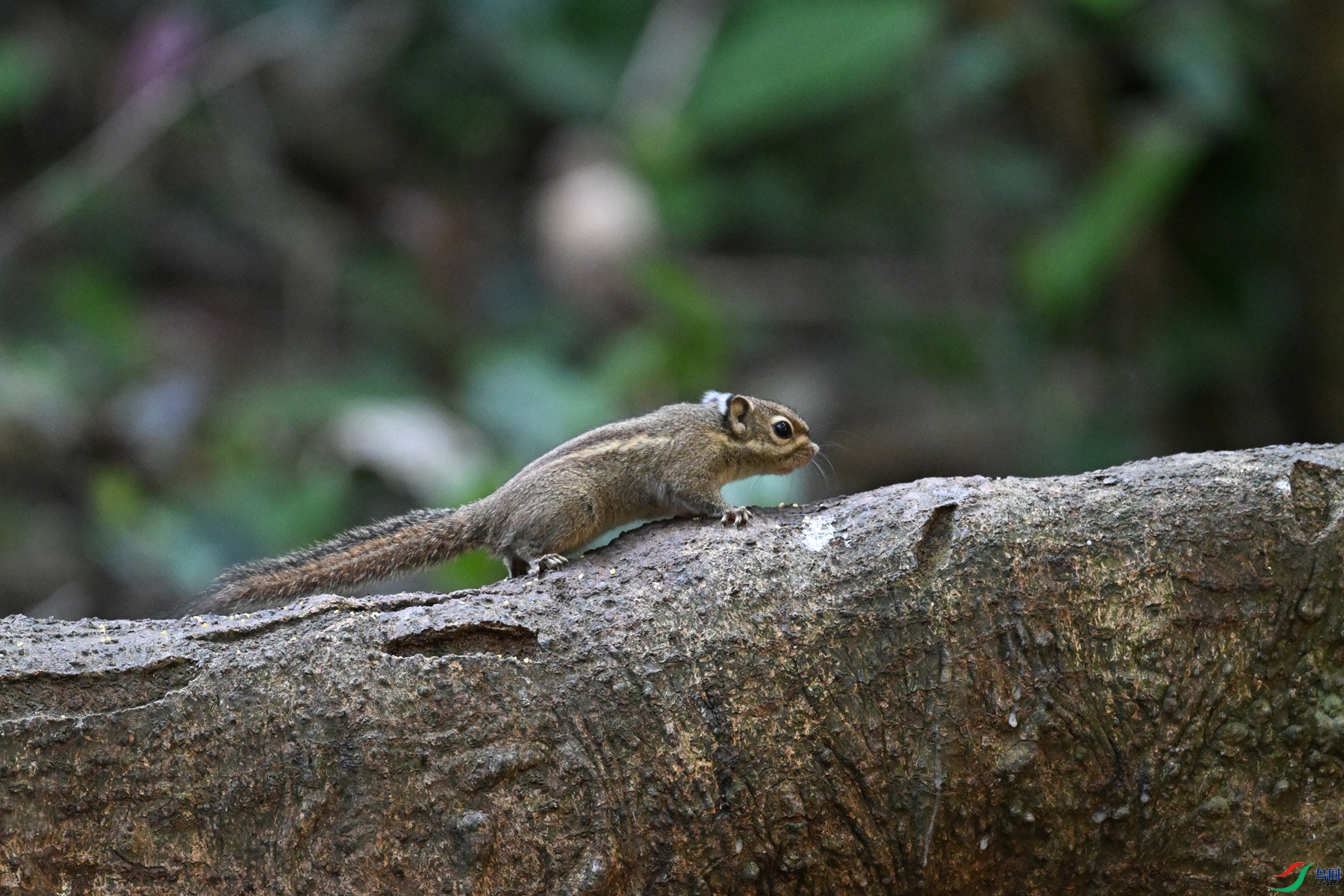 DSC_6504.JPG