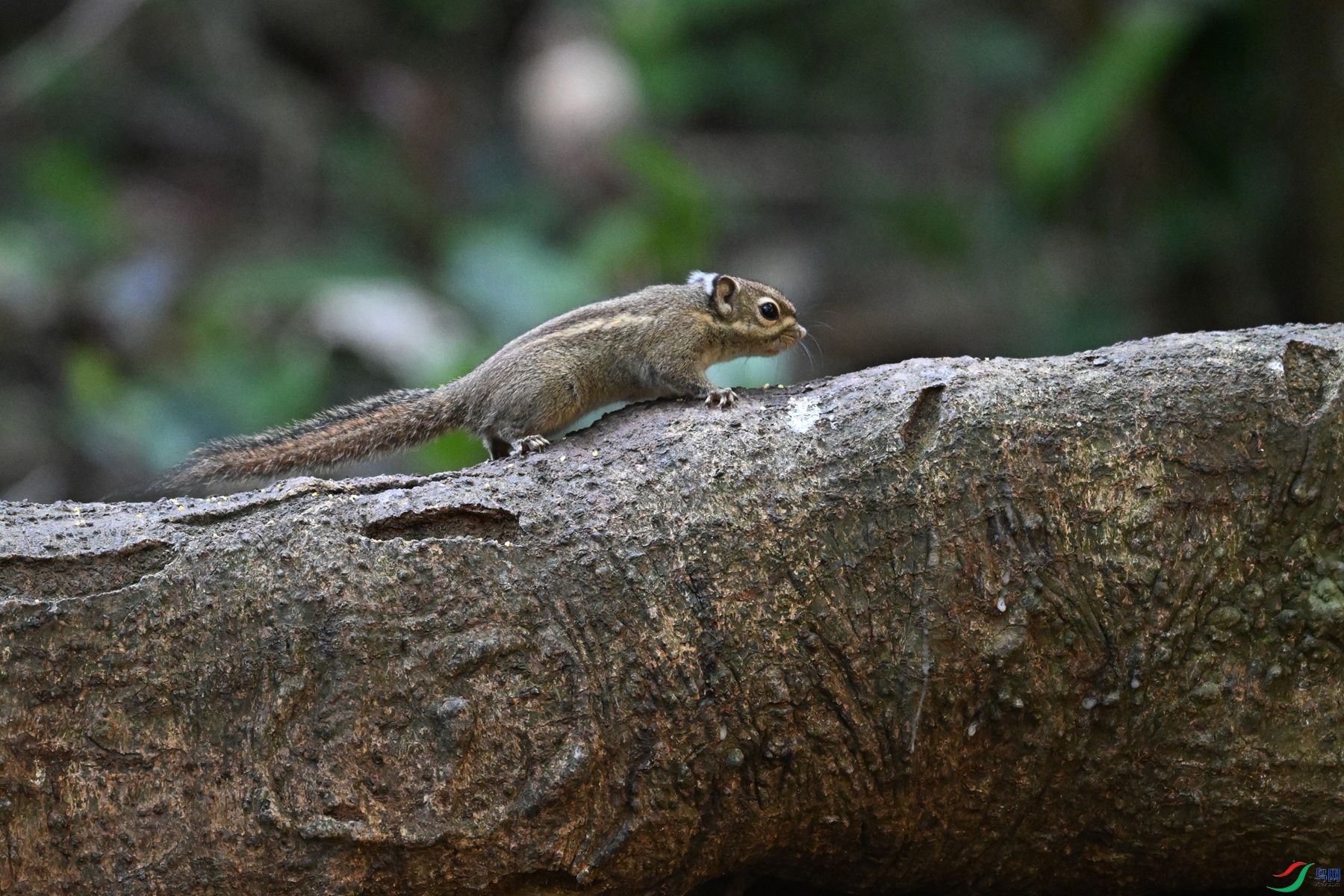 DSC_6503.JPG