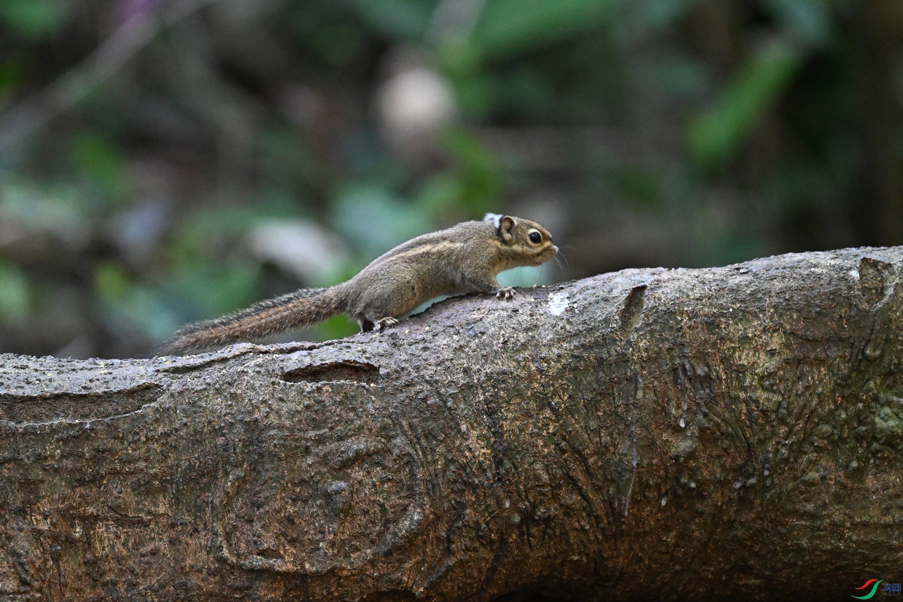 DSC_6505.JPG