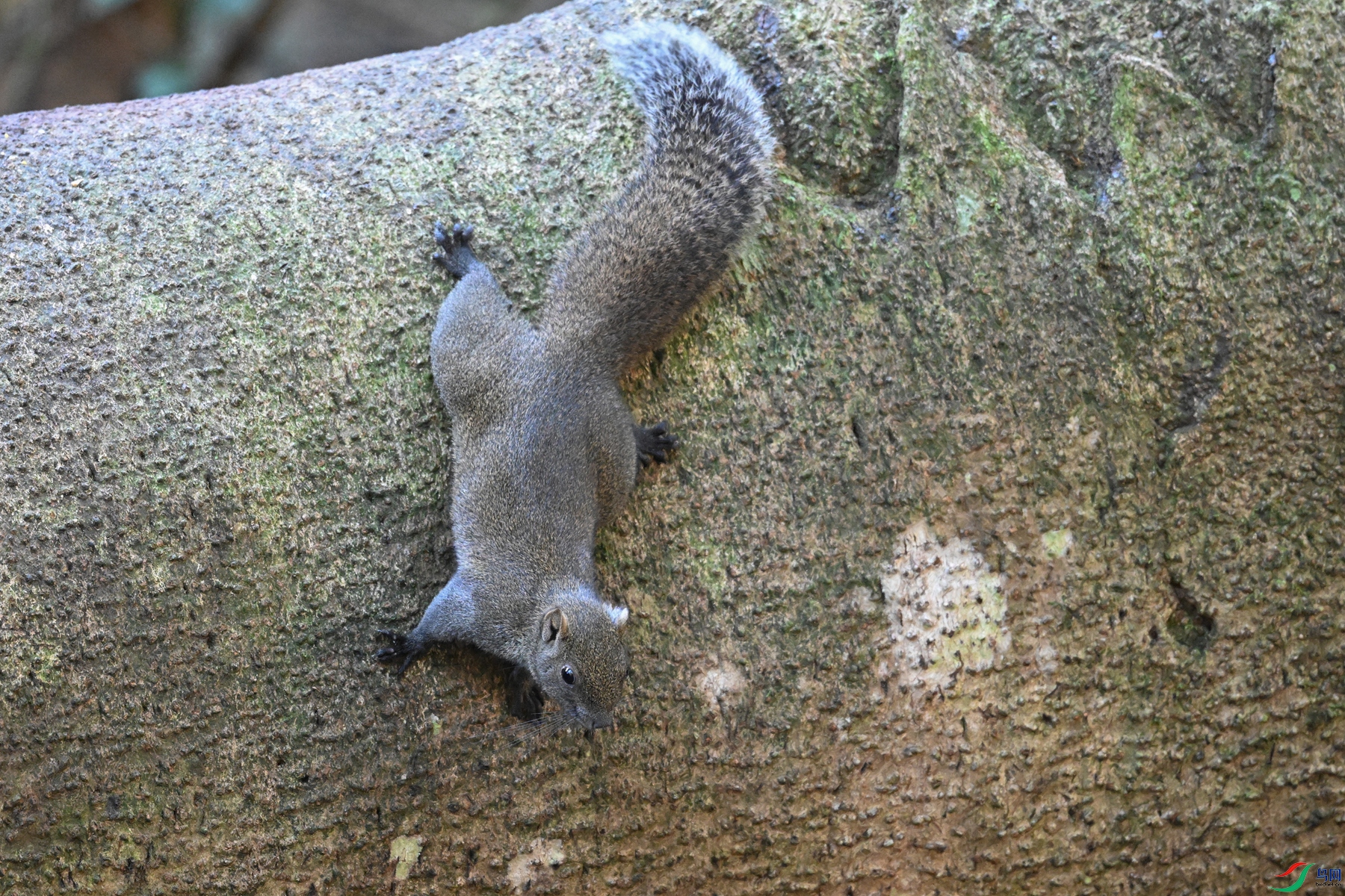 DSC_6509.JPG