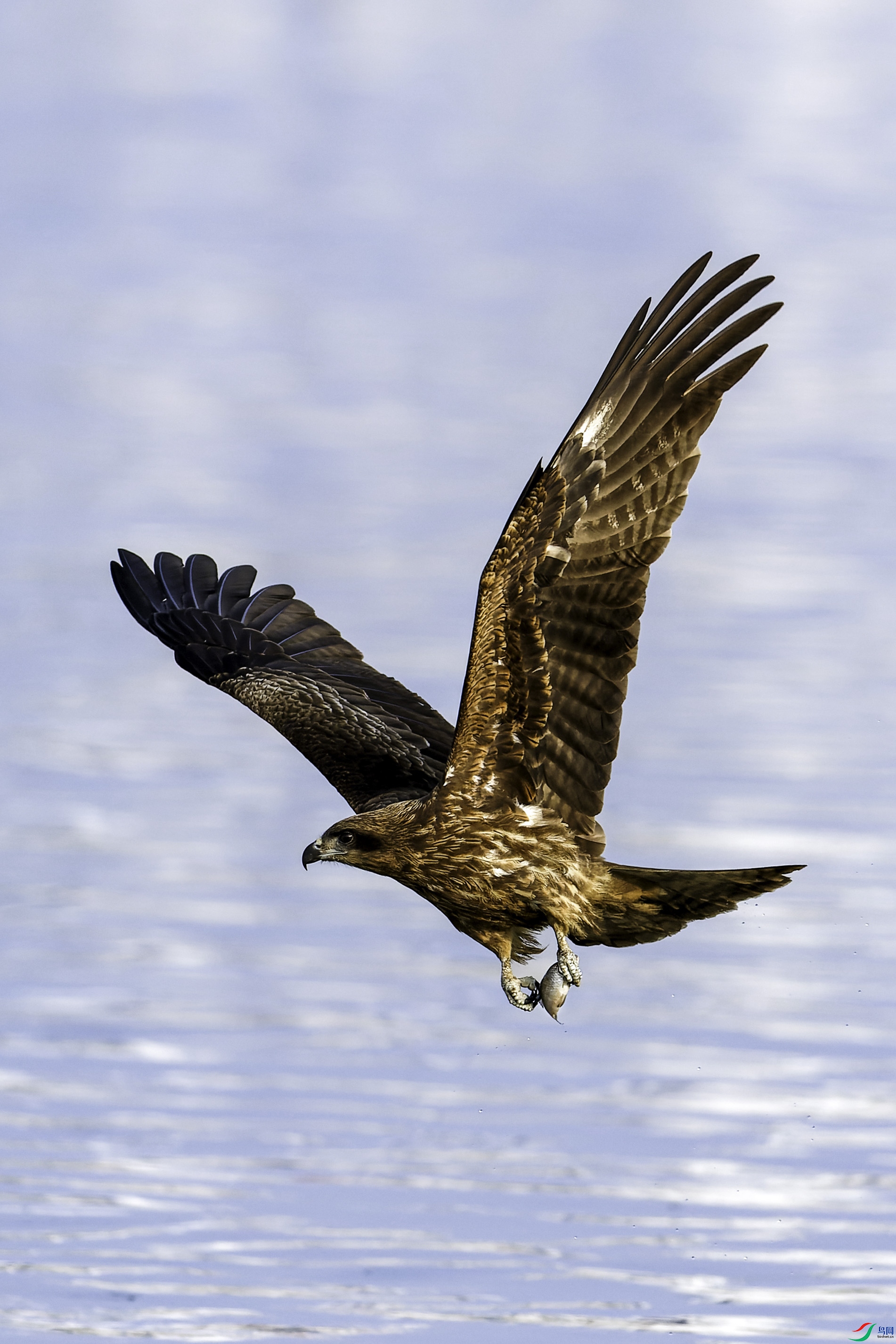 2X2_8152-CR2_DxO_DeepPRIME-1-2.jpg