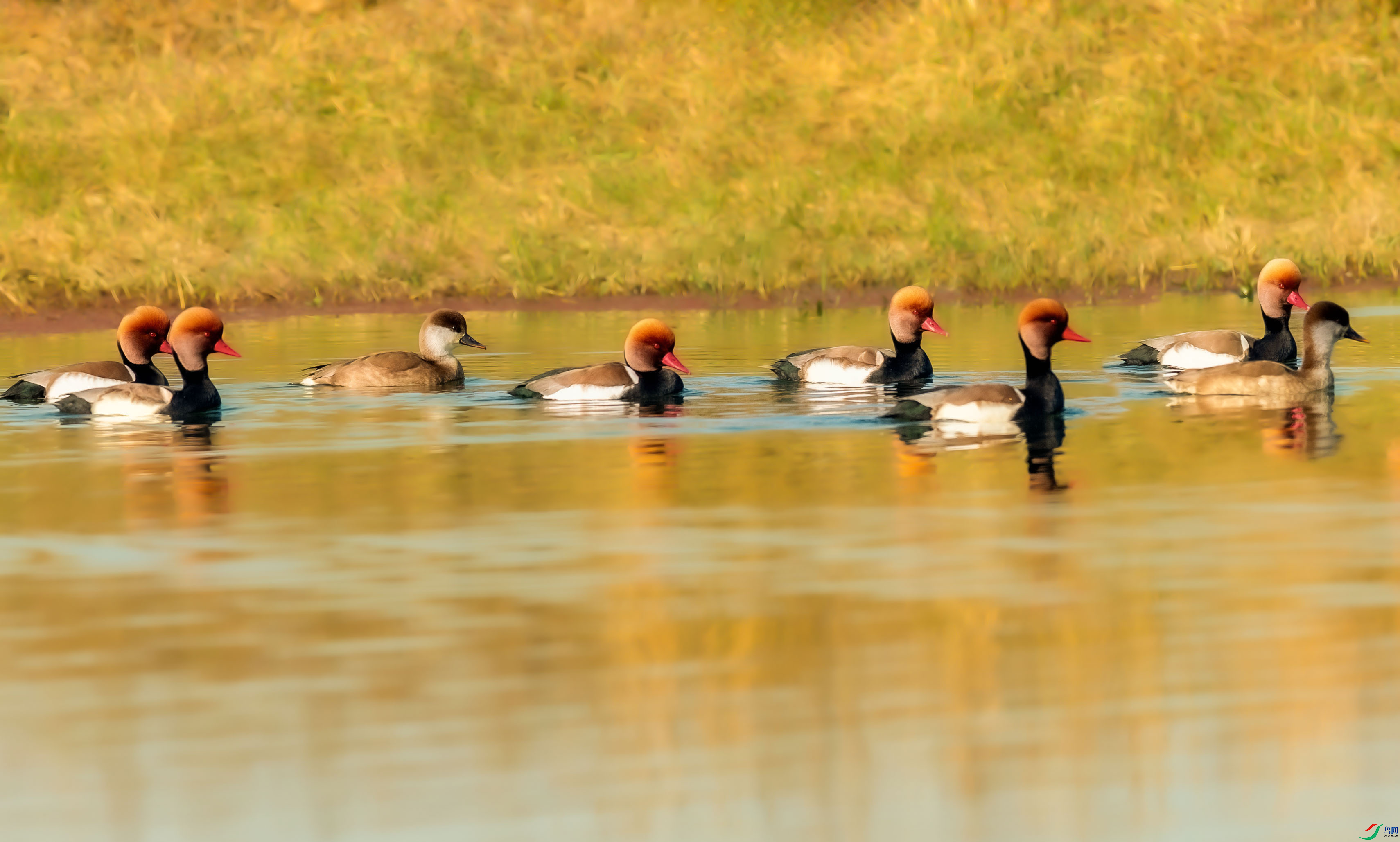 0N6A4265 ���� 2.png