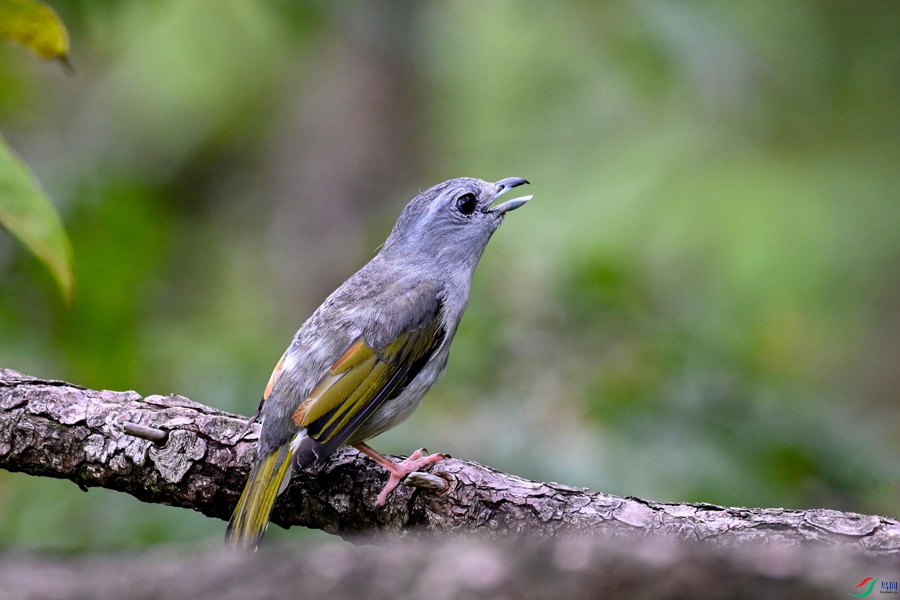 DSC_1047.JPG