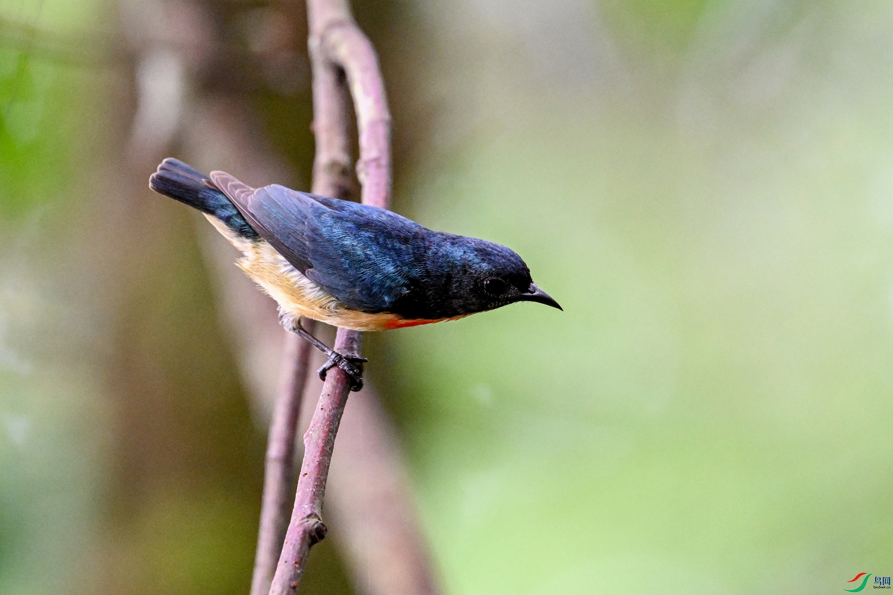 DSC_0644.JPG
