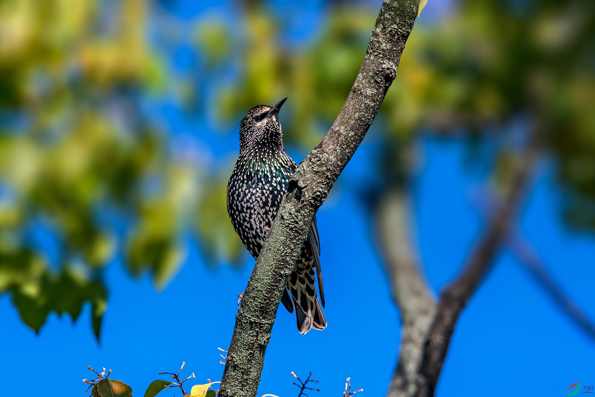 _AUU0909 �ϳ����(25.11.25).jpg