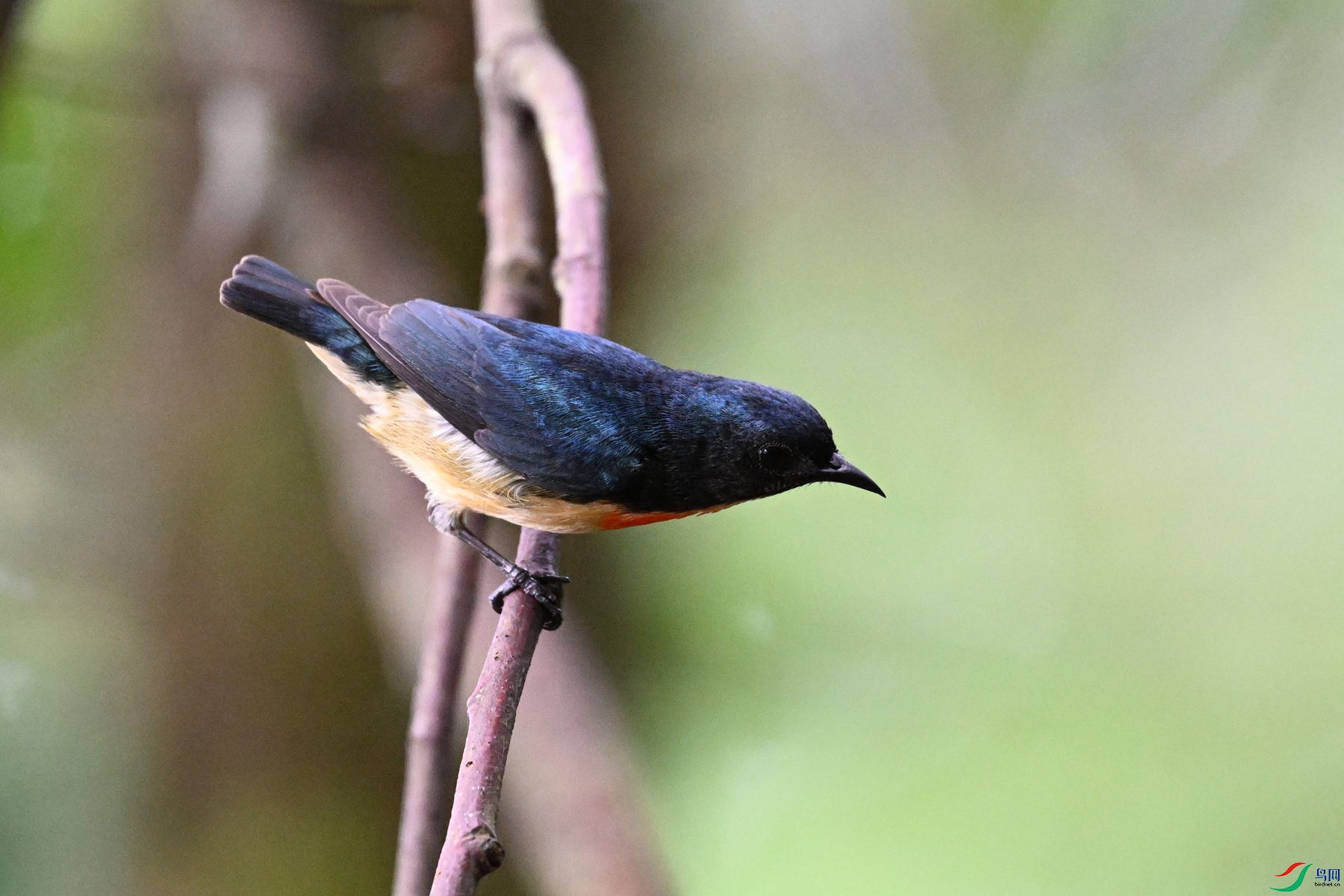 DSC_0645.JPG