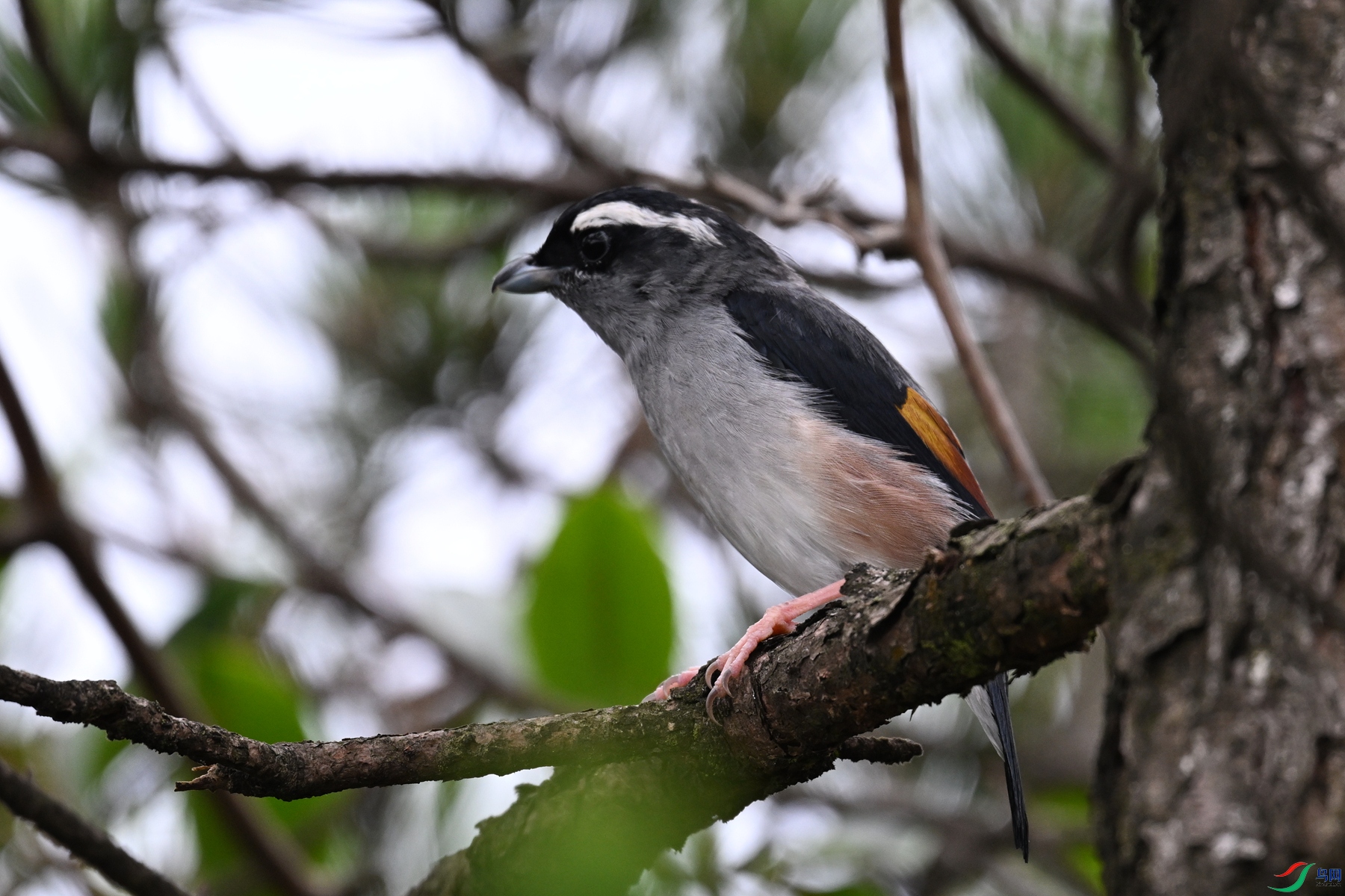 DSC_0656.JPG