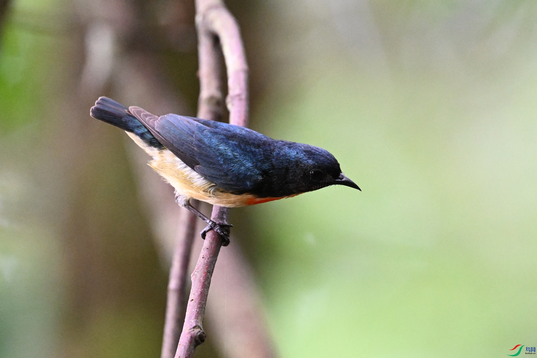 DSC_0646.JPG