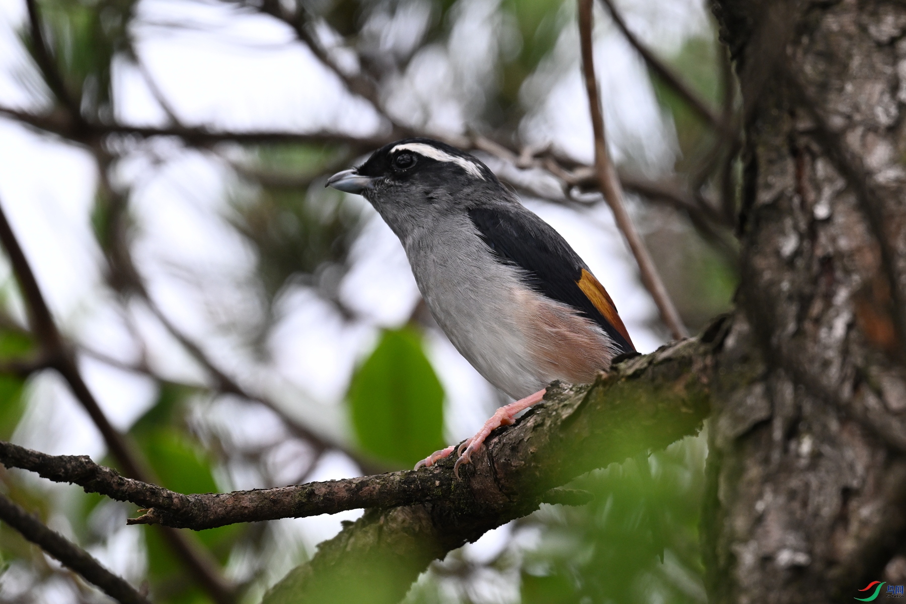 DSC_0661.JPG