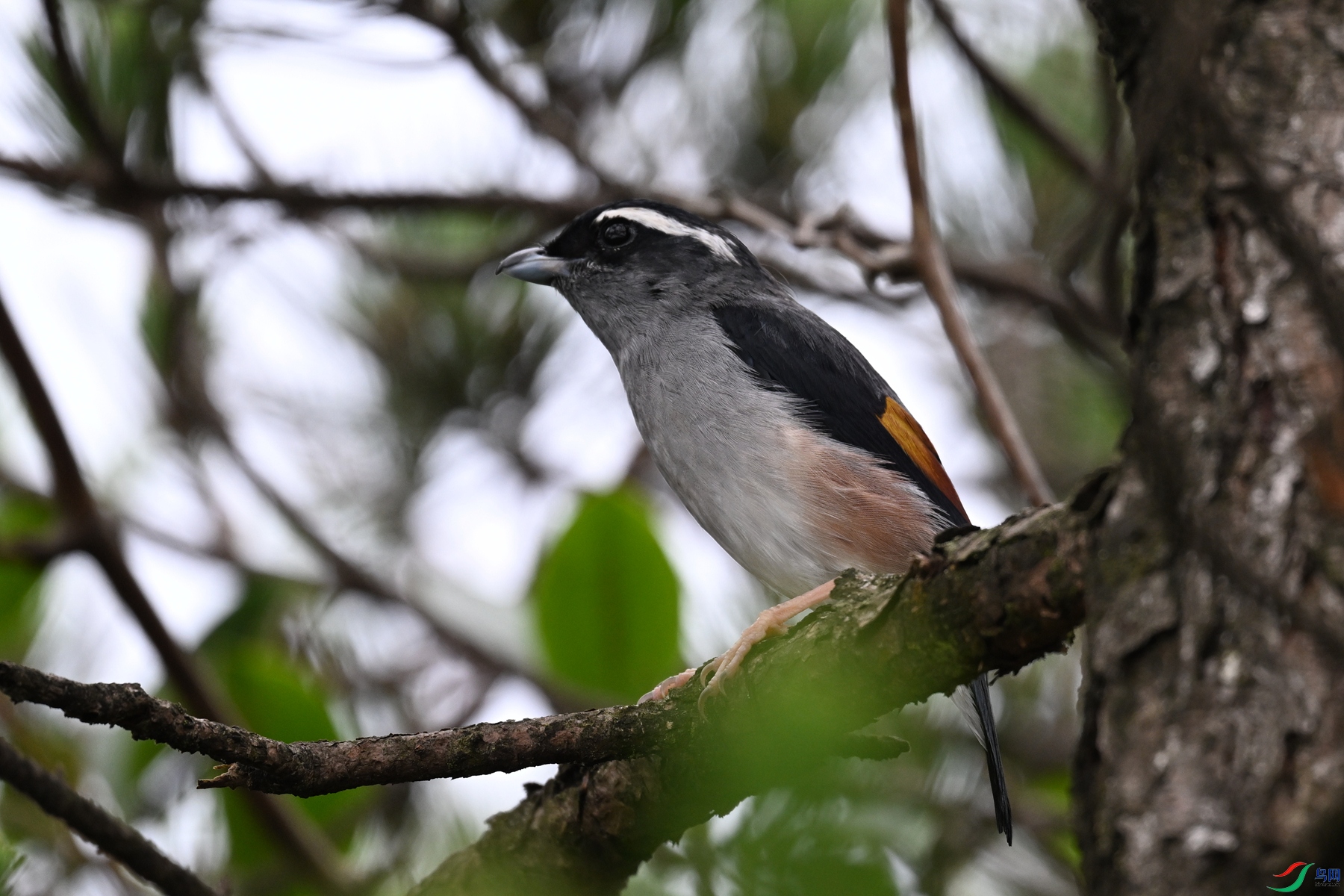 DSC_0663.JPG