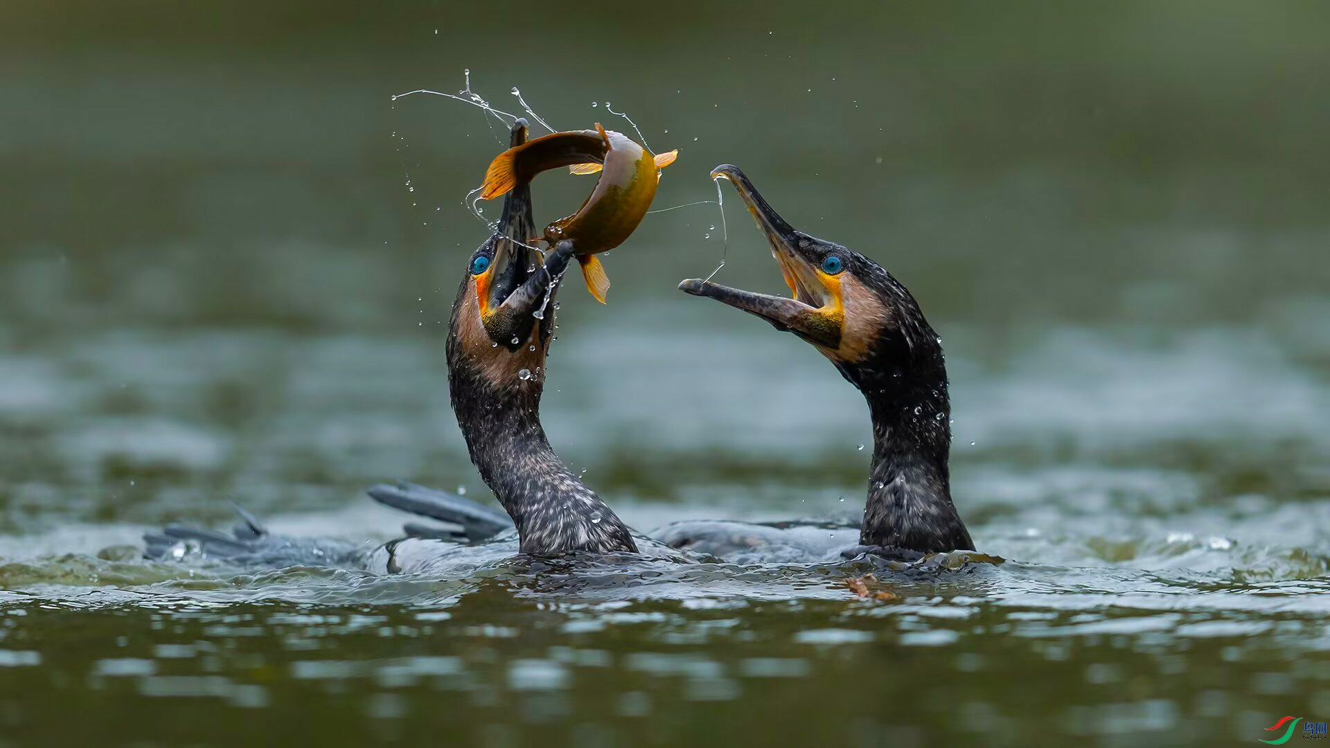 psc (9)_���Կ�ͼ.jpg