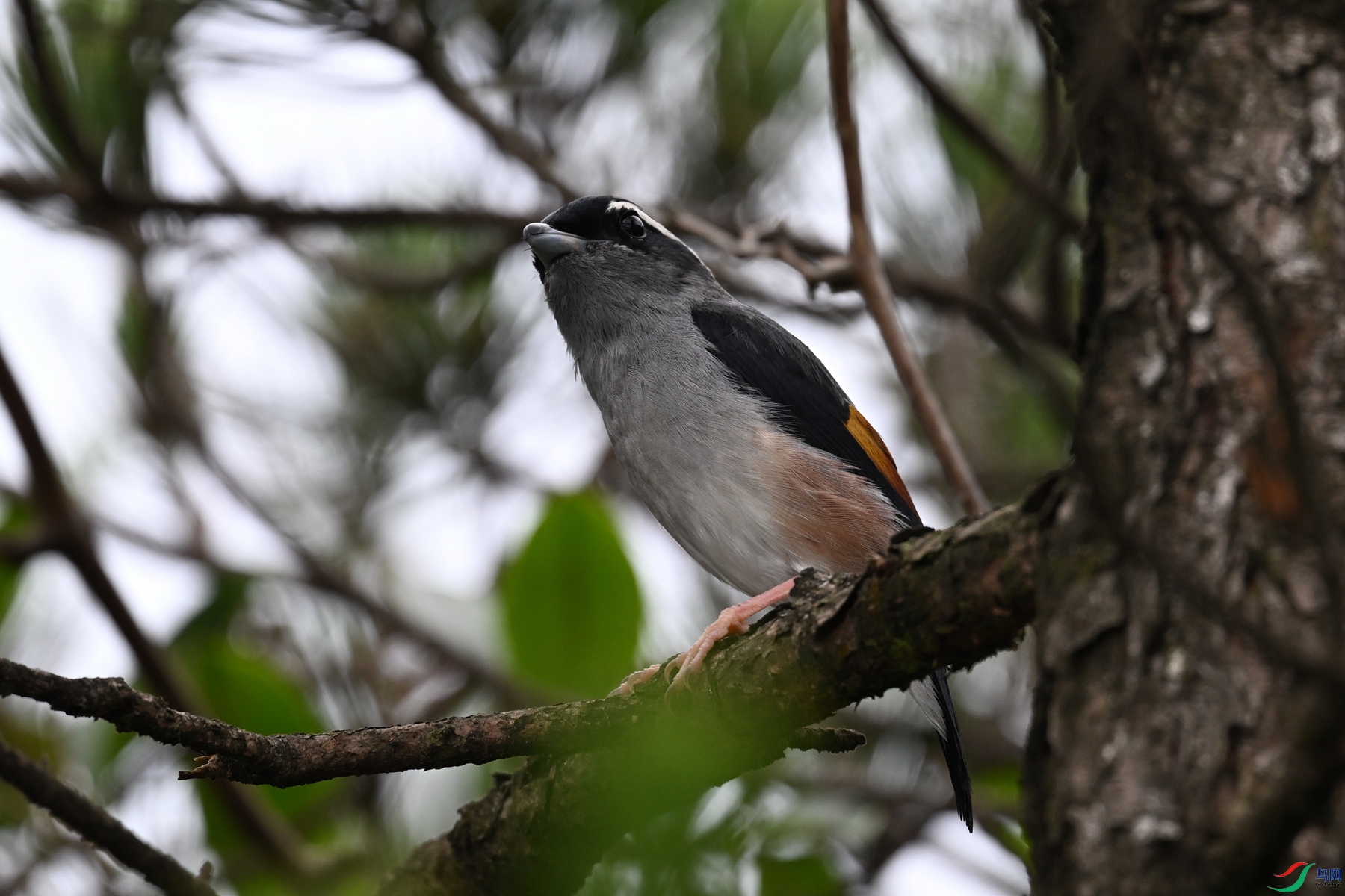 DSC_0665.JPG