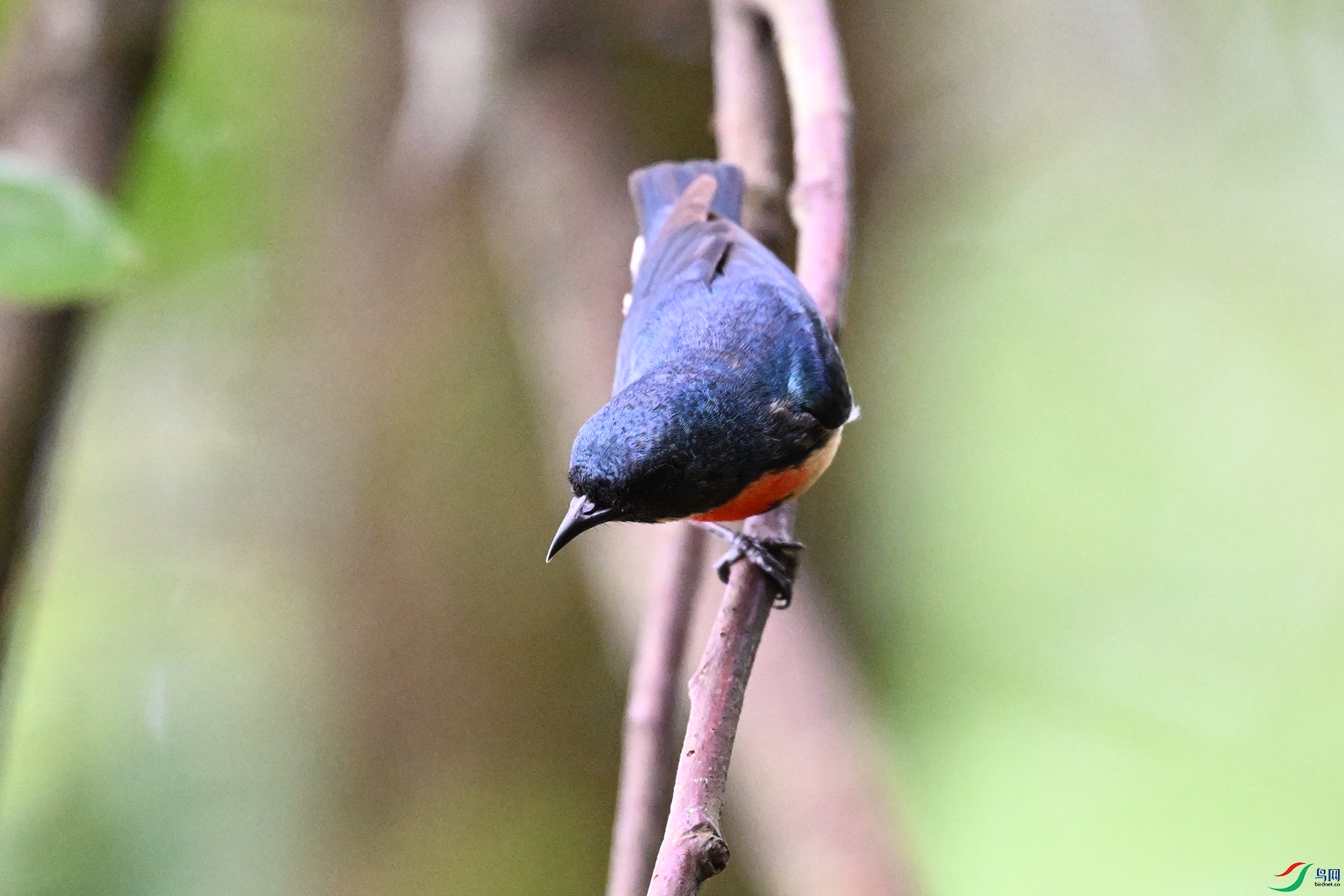 DSC_0648.JPG