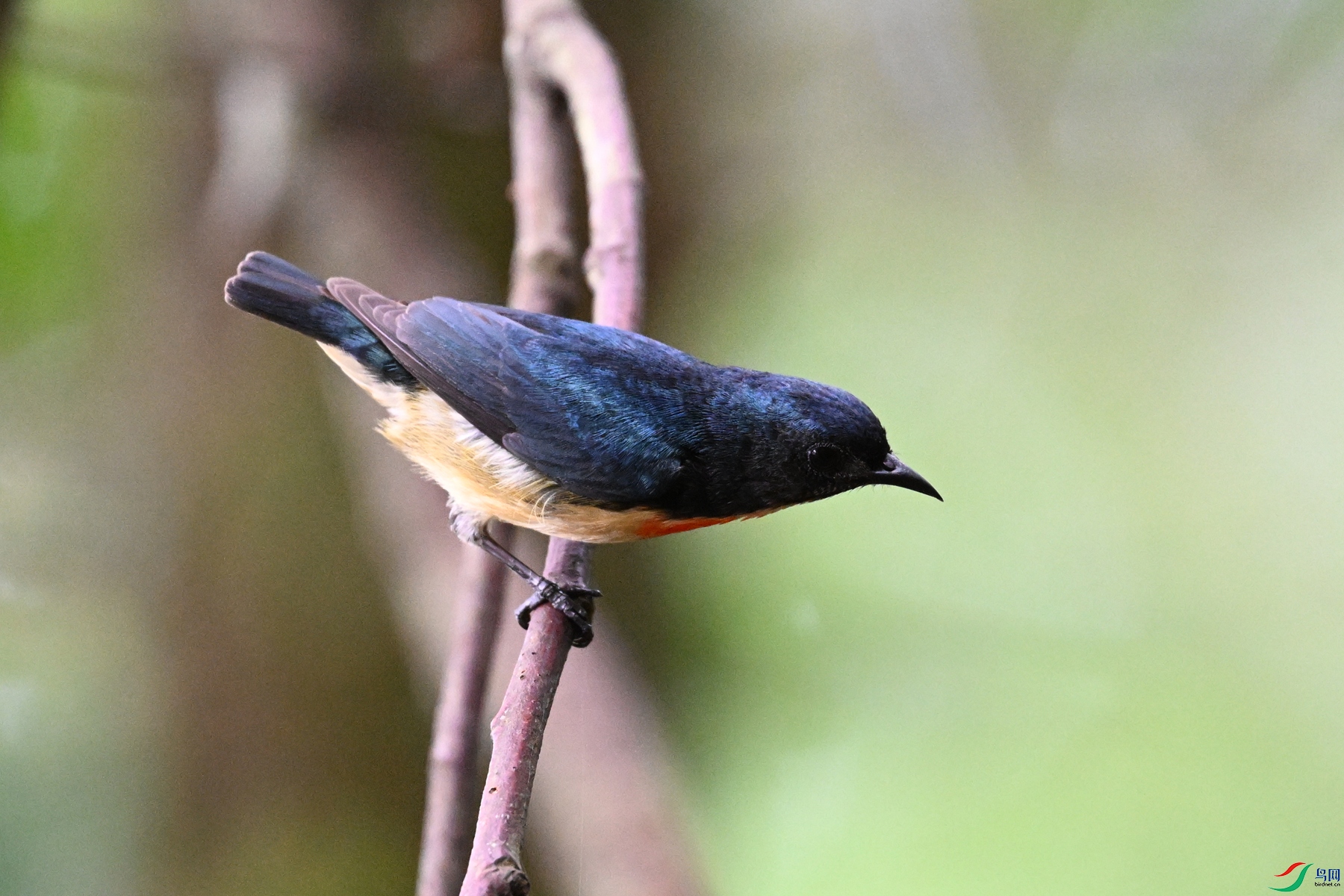 DSC_0647.JPG