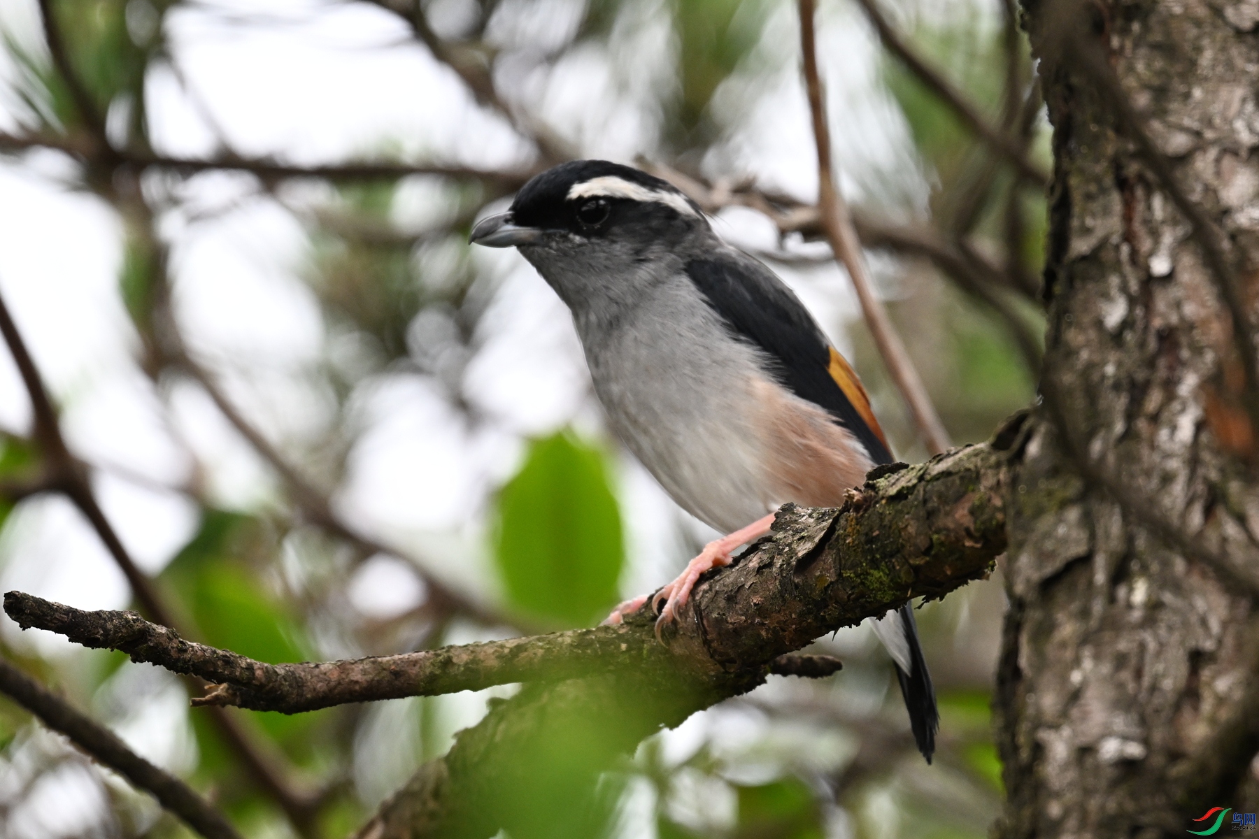 DSC_0669.JPG