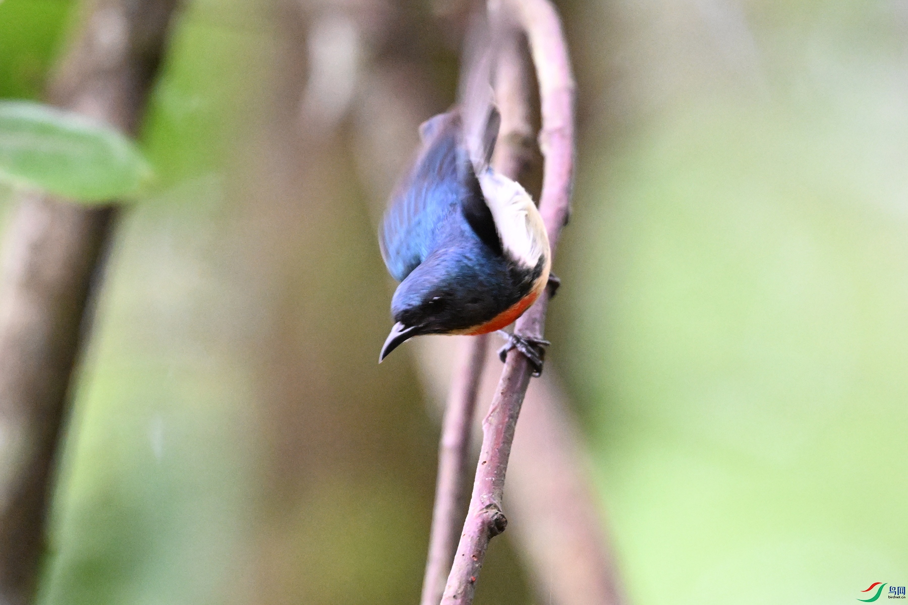 DSC_0649.JPG