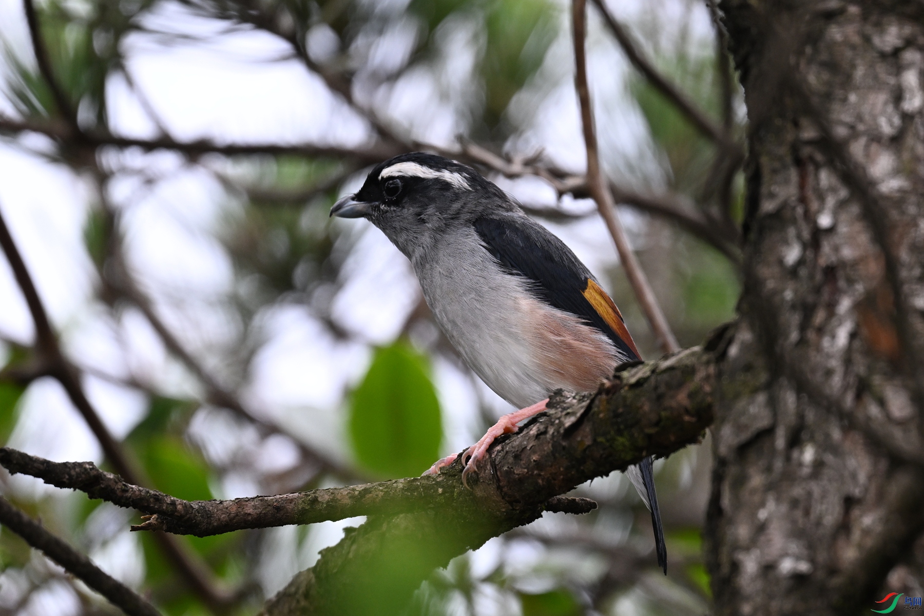 DSC_0657.JPG