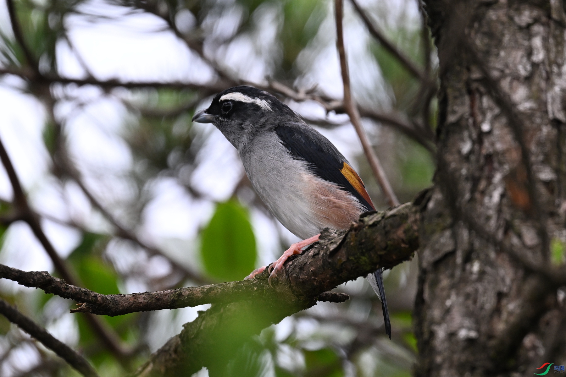 DSC_0658.JPG