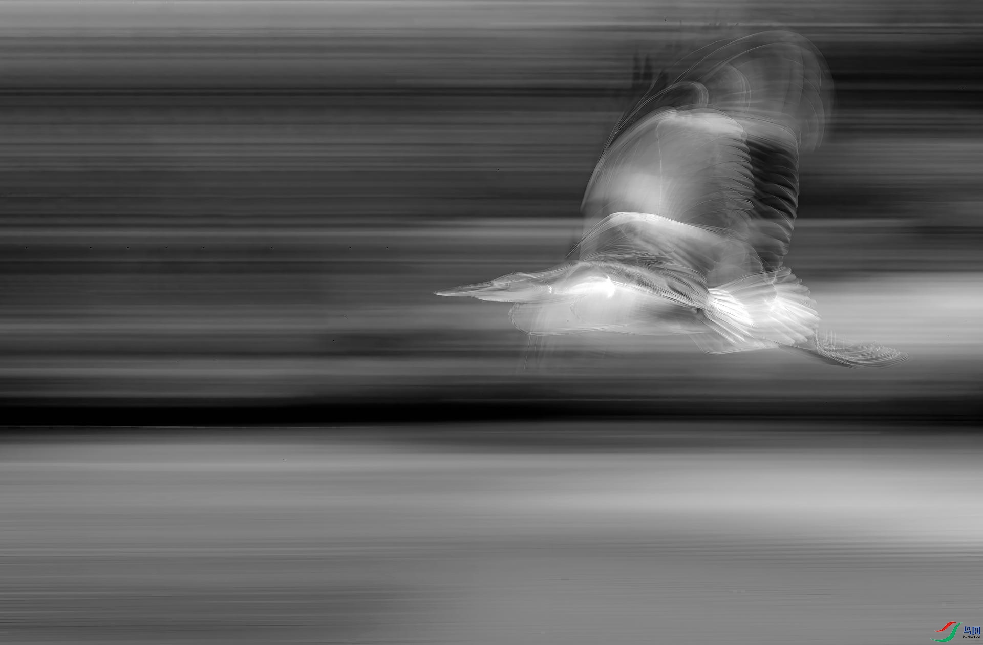 _WRX0985_����.jpg
