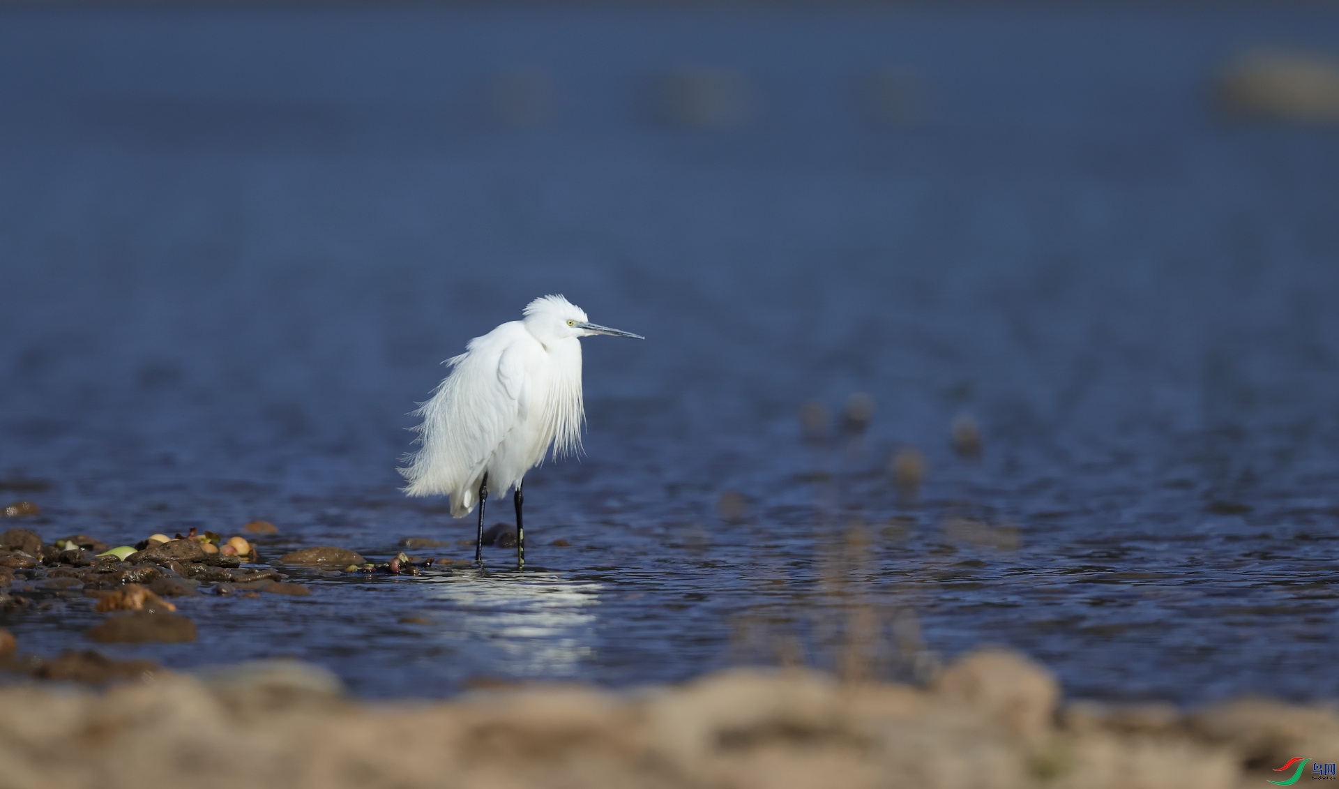 AC1I2079�� - ����.JPG