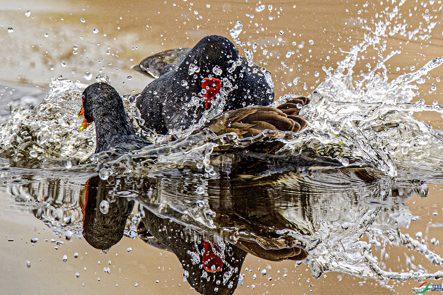 _90I5076 ���� 2.jpg