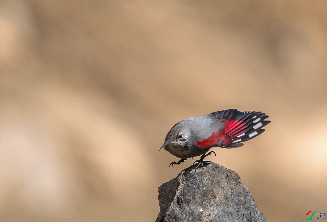 DSC_2047.jpg