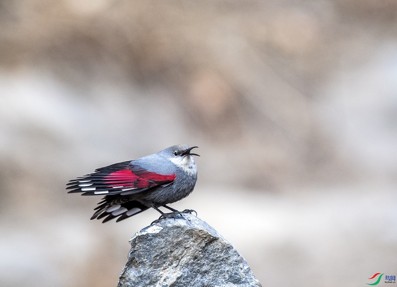 DSC_3585.jpg