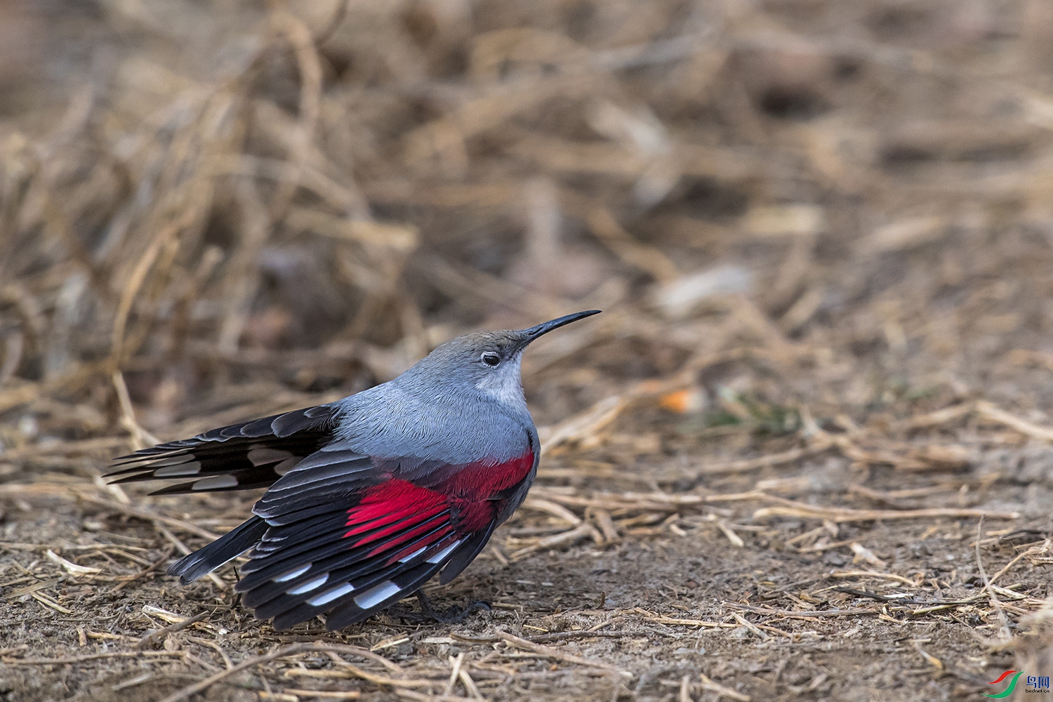 DSC_3815.jpg