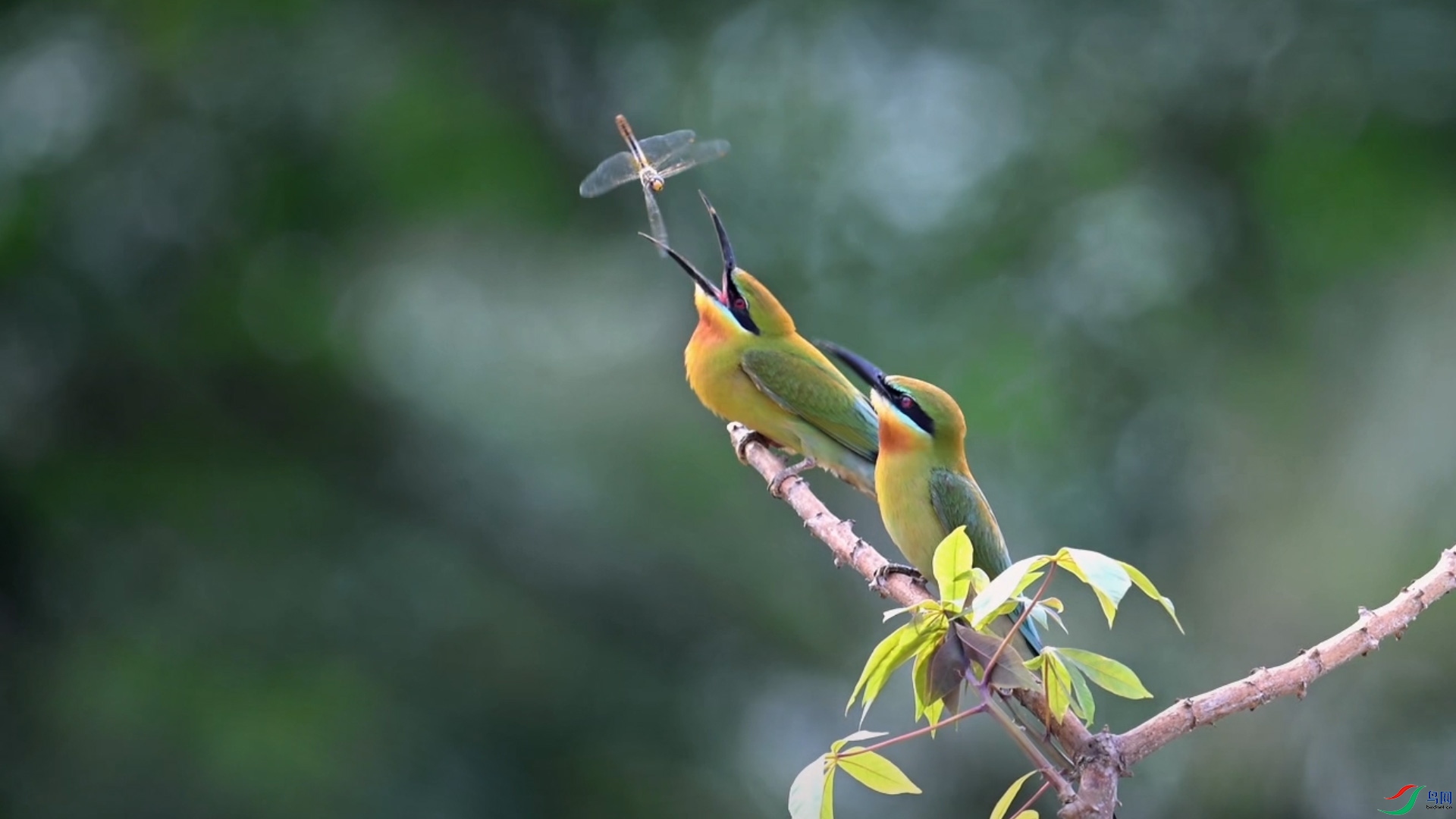 �ϳ� 1 (0-00-27-02).jpg