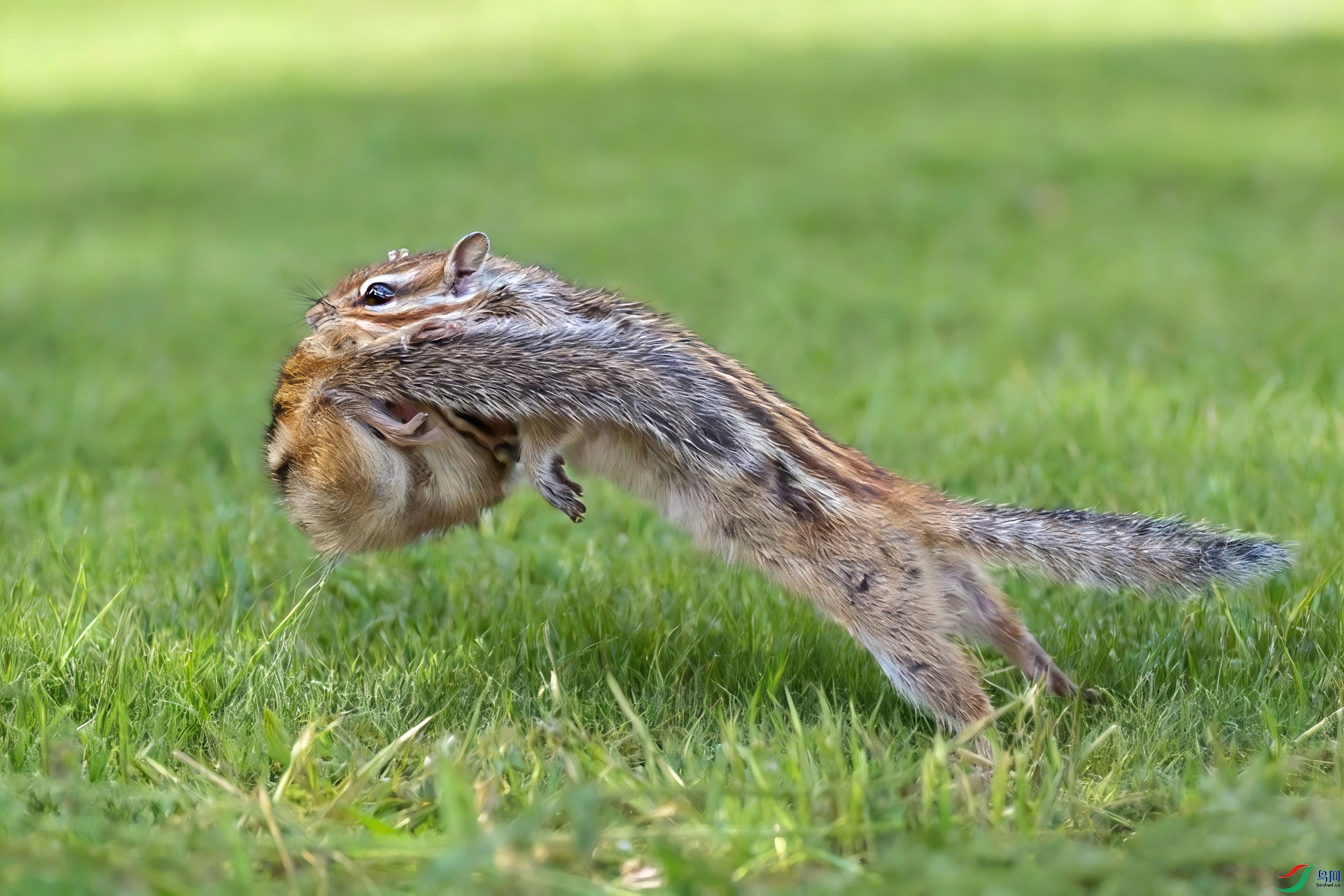 ͼƬ�����滻 (3).jpg