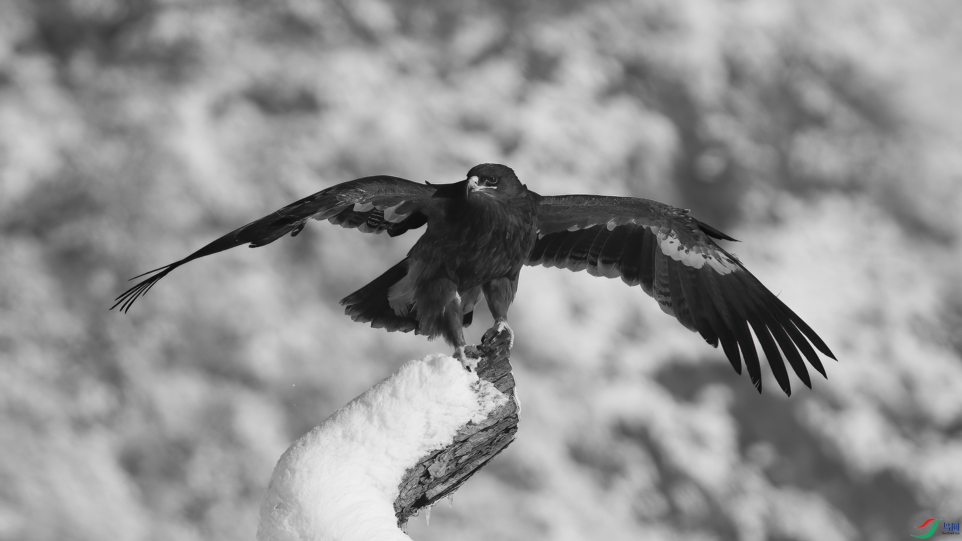 DSC05098 ����.jpg