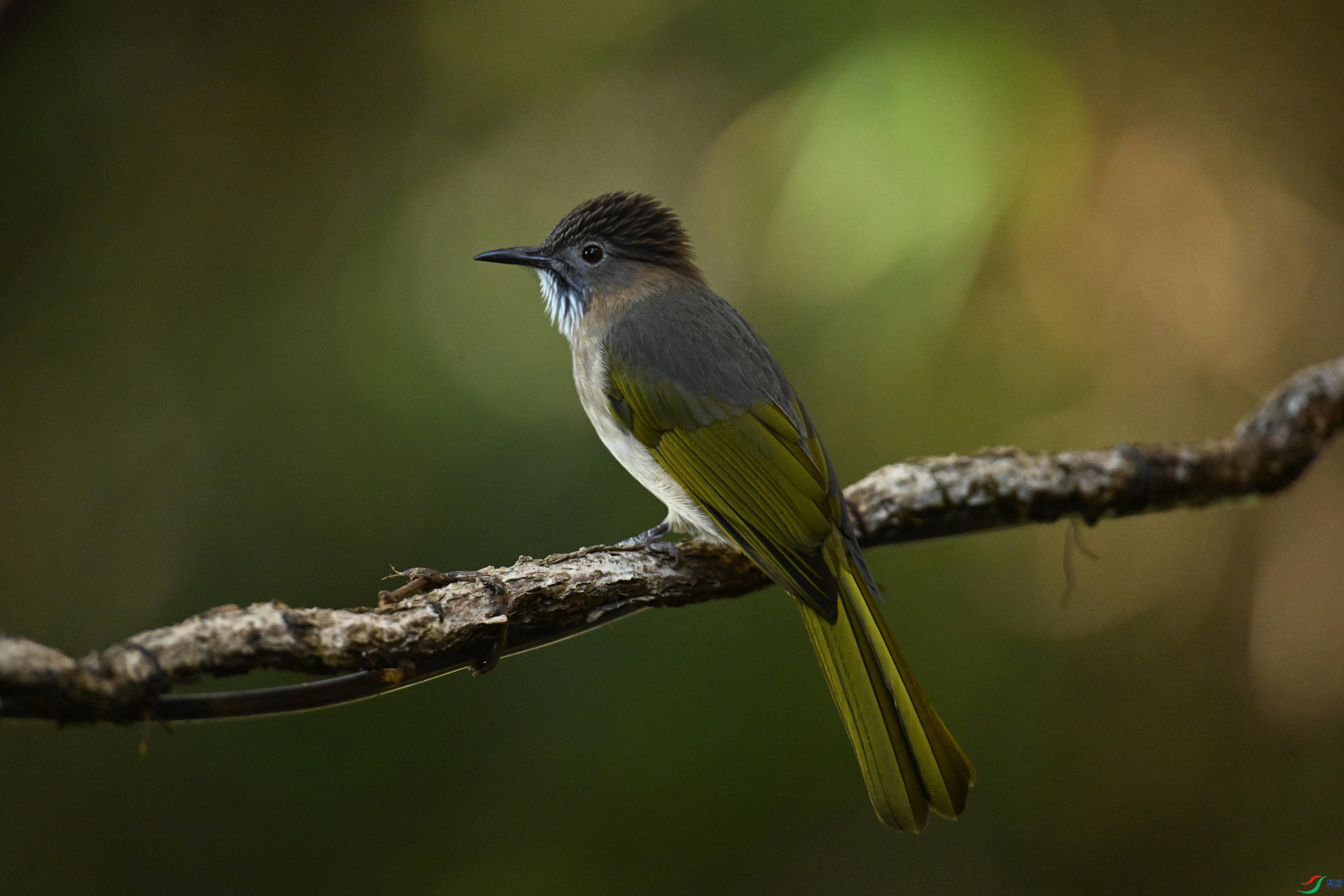 ���� (8).jpg