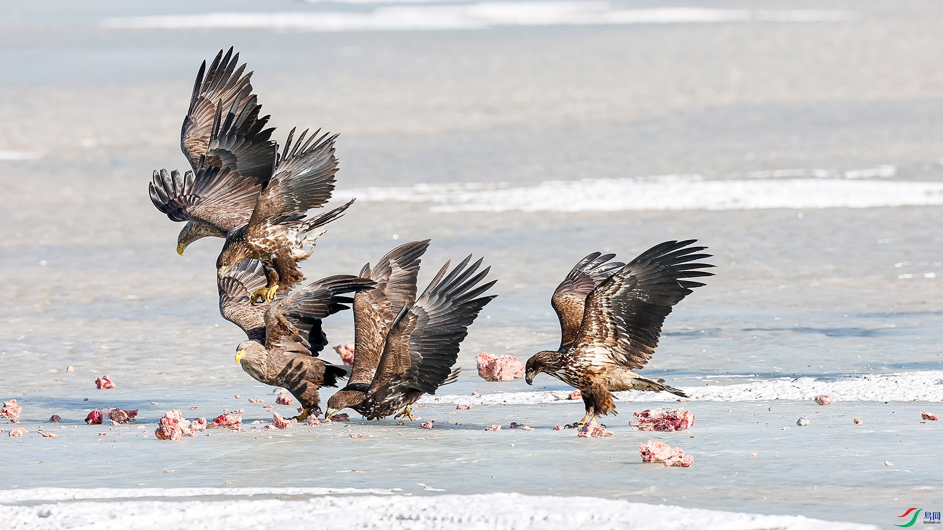 �������������� ��ƽ���� �ݶ��Գ�.jpg