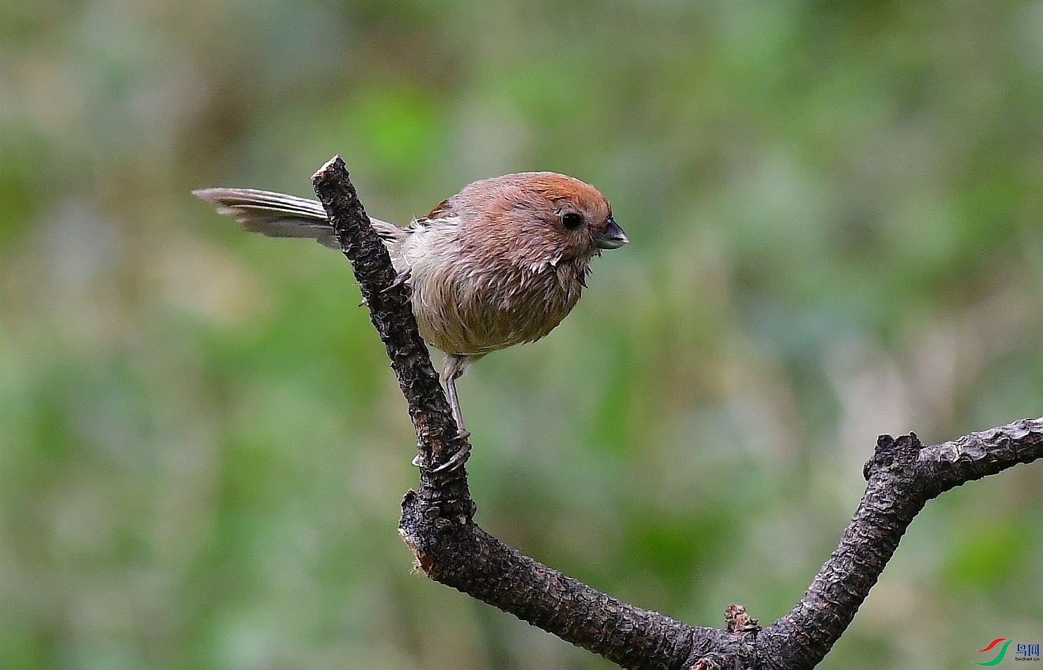 DSC_1281_��ͼ��.jpg