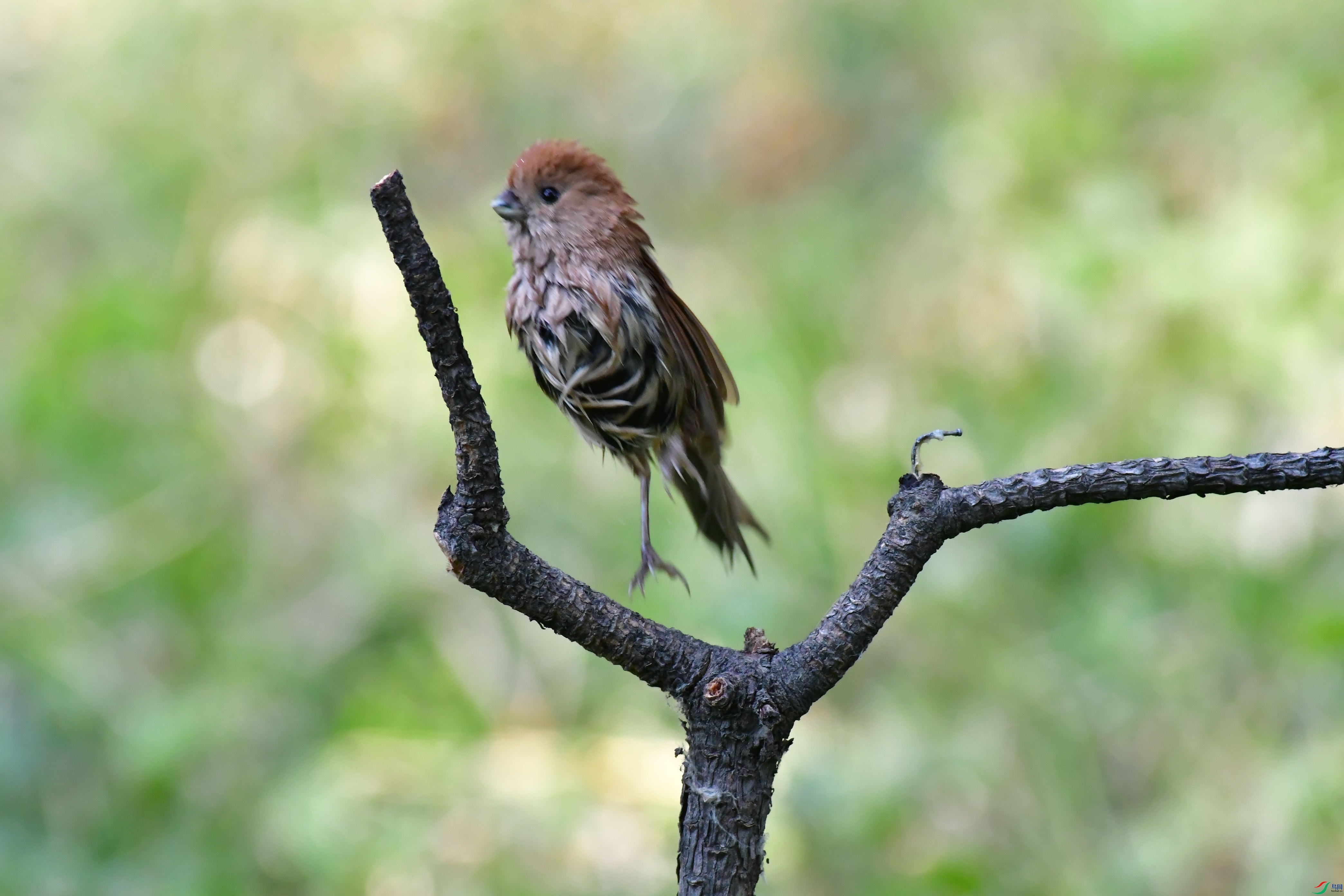 DSC_0057_��ͼ��.jpg