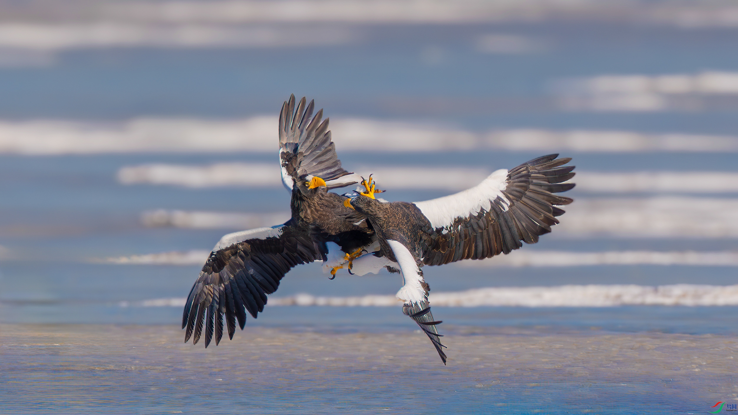 DSC00658 ����-1.jpg