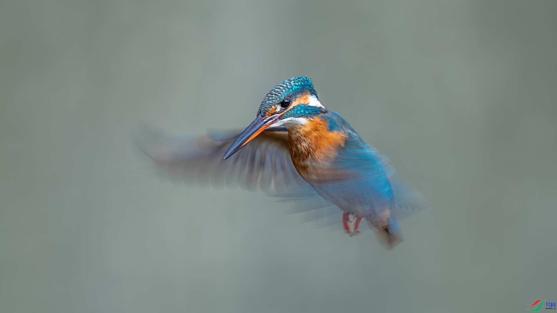 1.29 ��Ů��·����ʦ��Ʒ  ��ͣ�۲�  �ٻ�2026��1��29�հ�����ҳ����.jpg