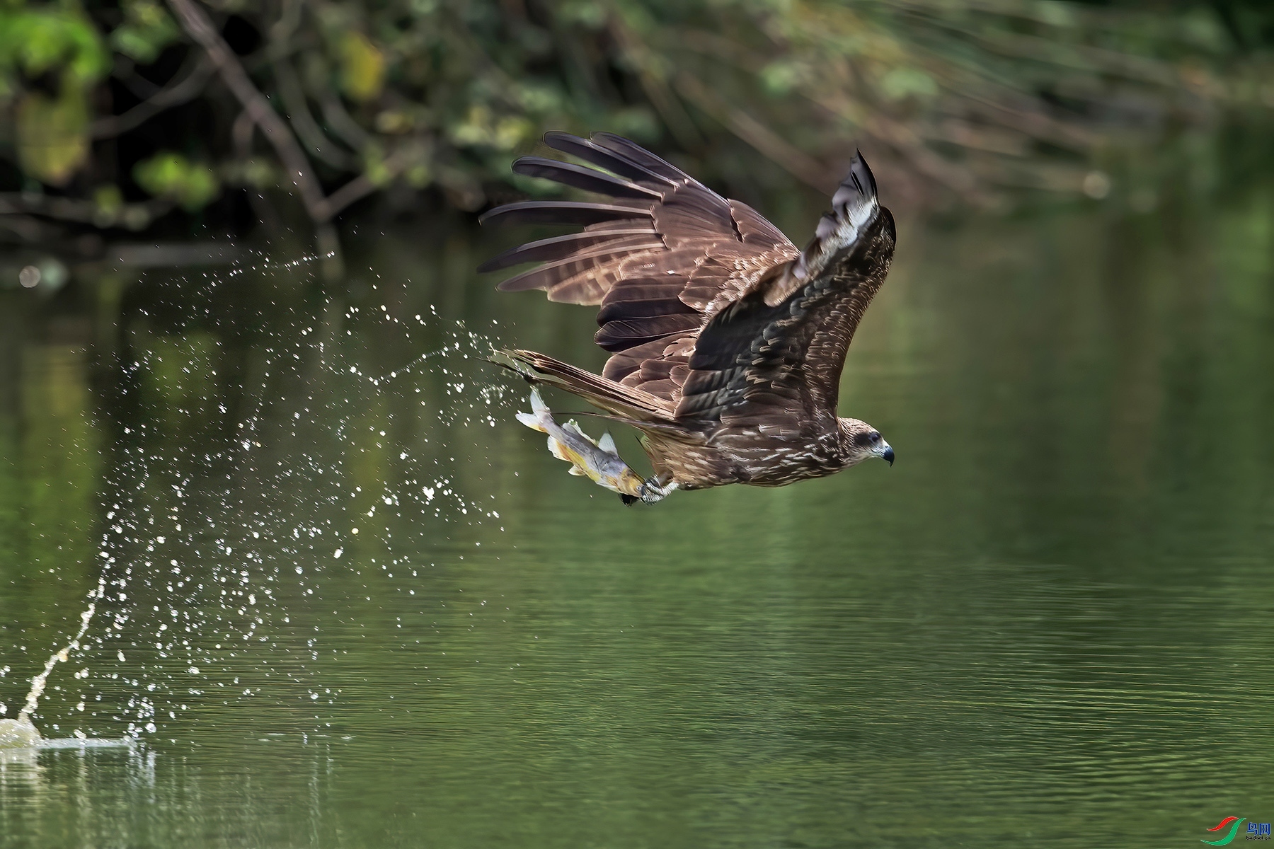 1.29 �ܿ˱���ʦ��Ʒ  ���  �ٻ�2026��1��29����Ӱʦ��ҳ����.jpg