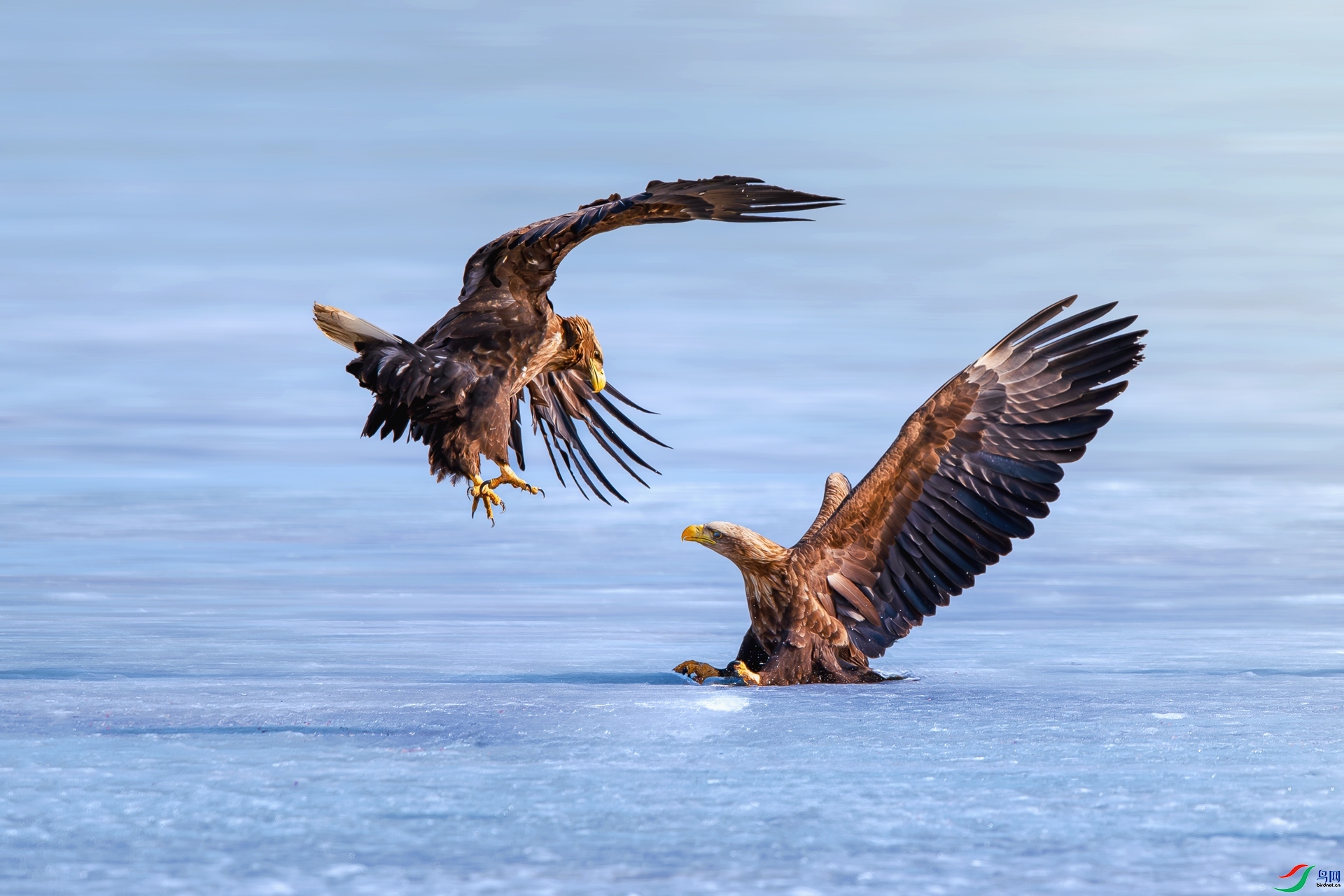 1.30 ��ƽ@��ʦ��Ʒ  ��   �ٻ�2026��1��30����Ӱʦ��ҳ����.jpg