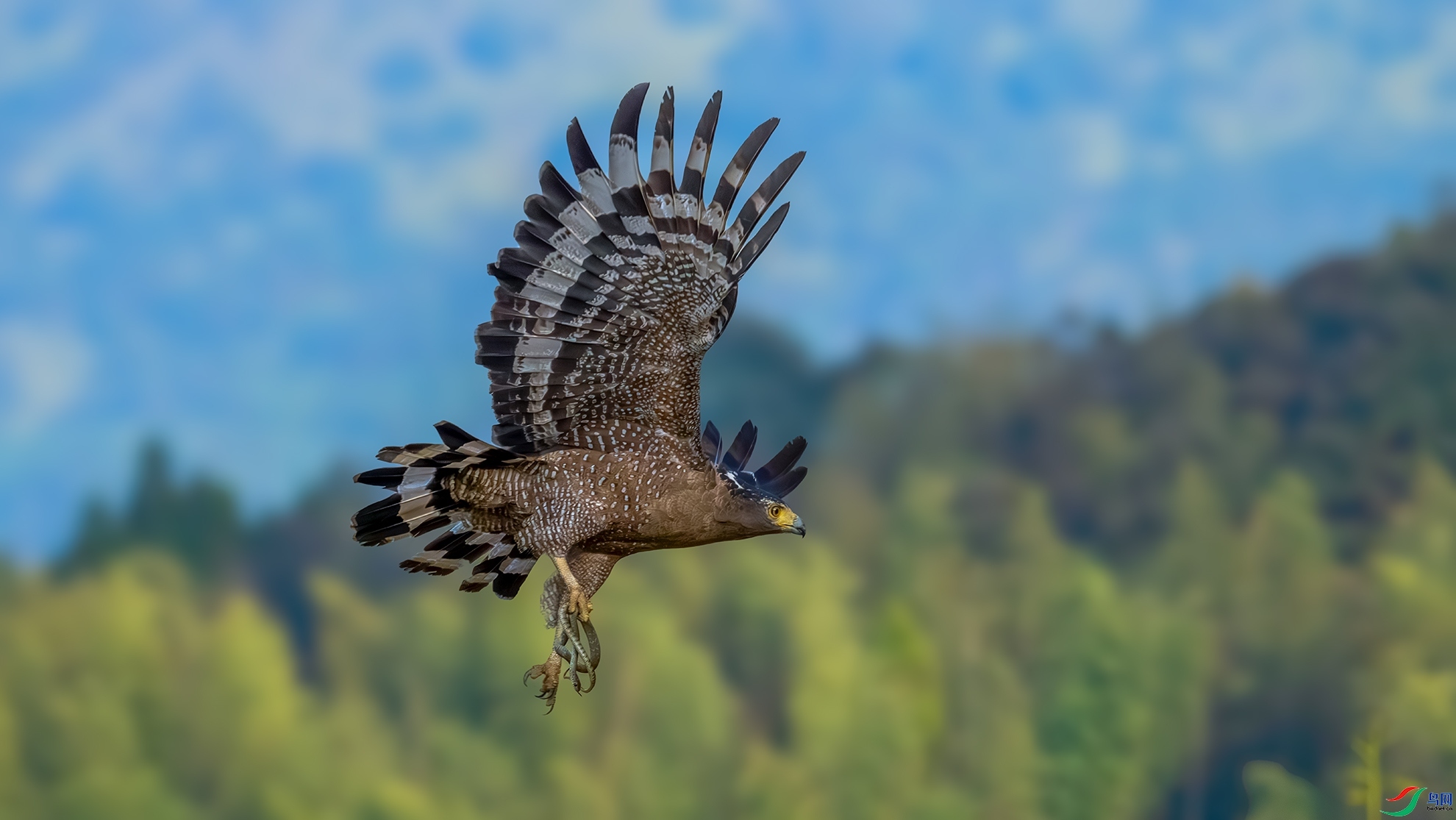 2.2 С������63��ʦ��Ʒ  �ߵ�  �ٻ�2026��2��2����Ӱʦ��ҳ����.jpg