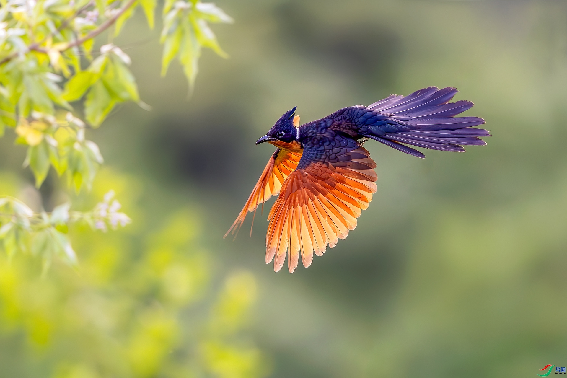 2.2 �ɵ���ʦ��Ʒ  ����ͷ��  �ٻ�2026��2��2��ÿ�ռ���.jpg