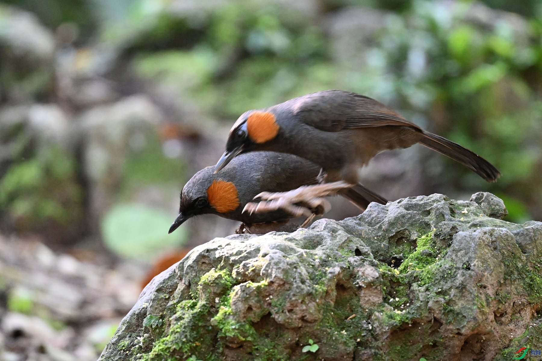DSC_6494.JPG